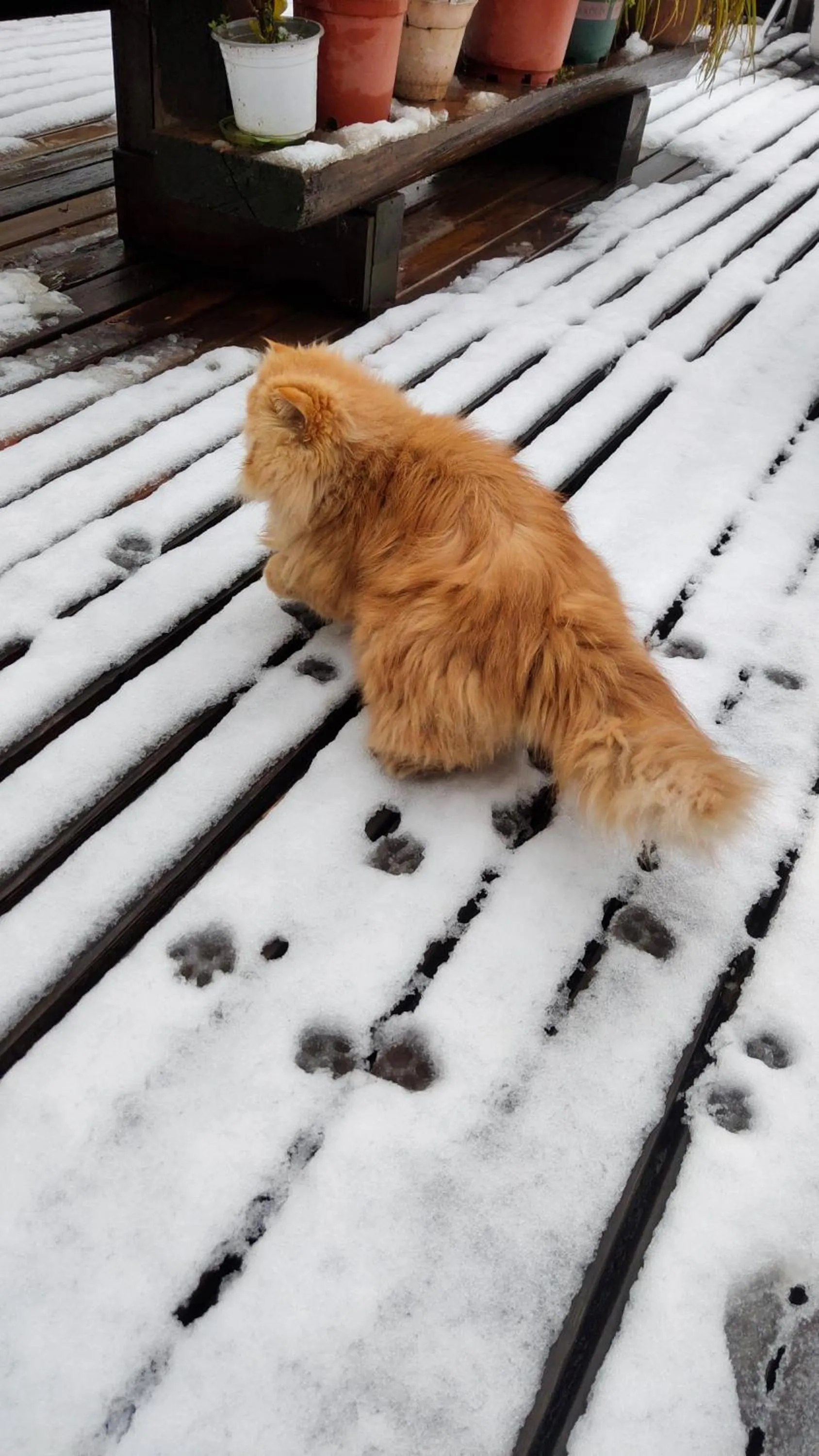 September Huizhou Inn