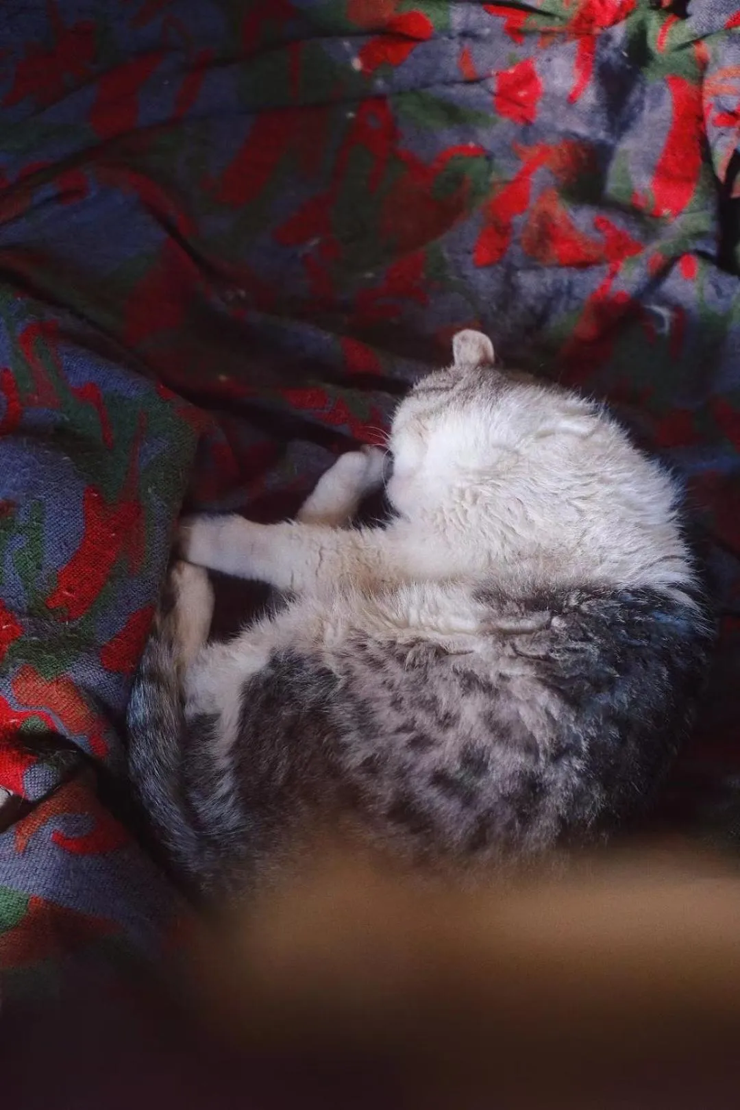 September Huizhou Inn