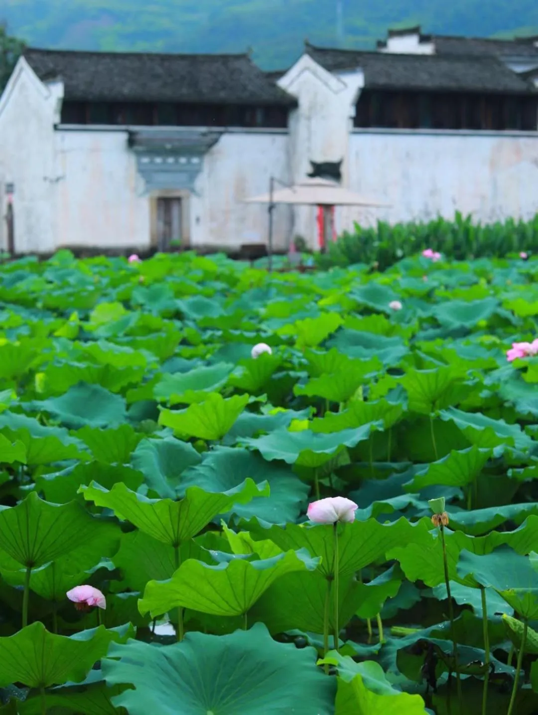 September Huizhou Inn