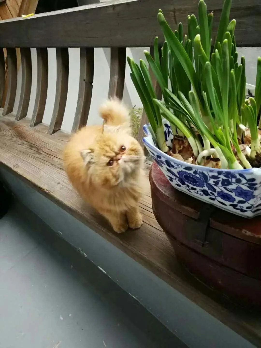 Decorative detail in September Huizhou Inn