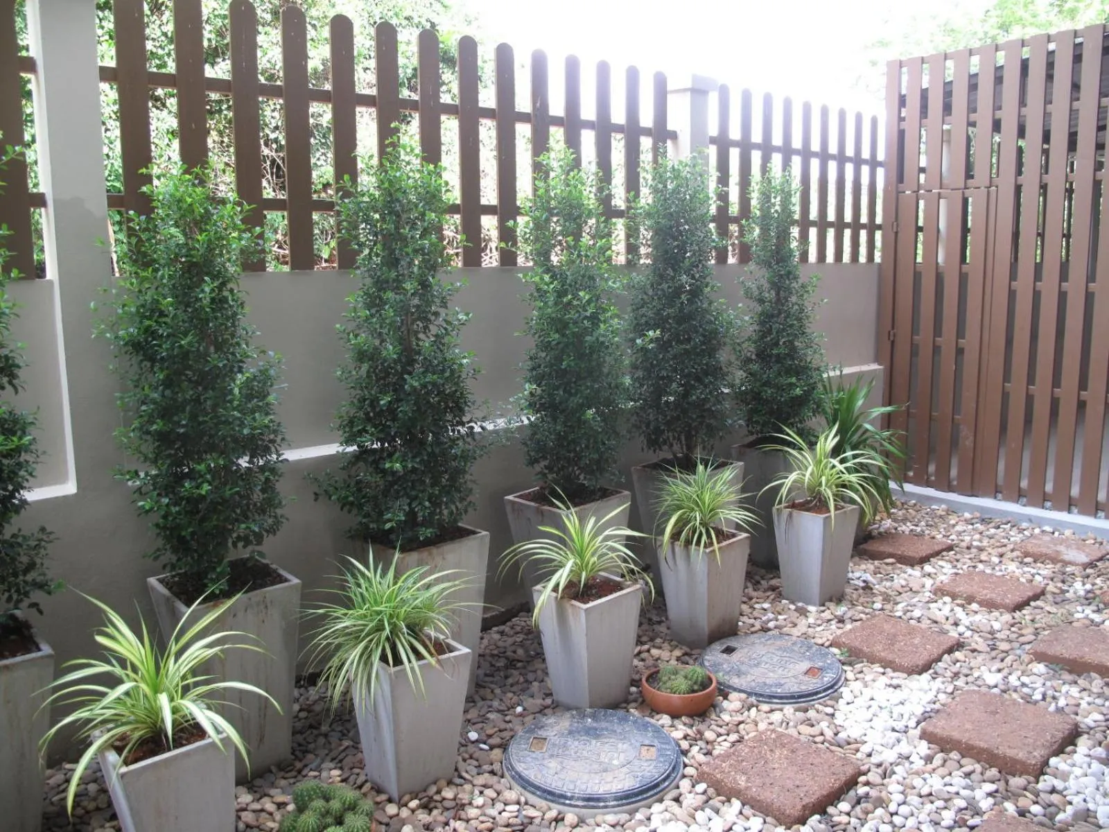 Garden in Chompu Nakarin Apartment