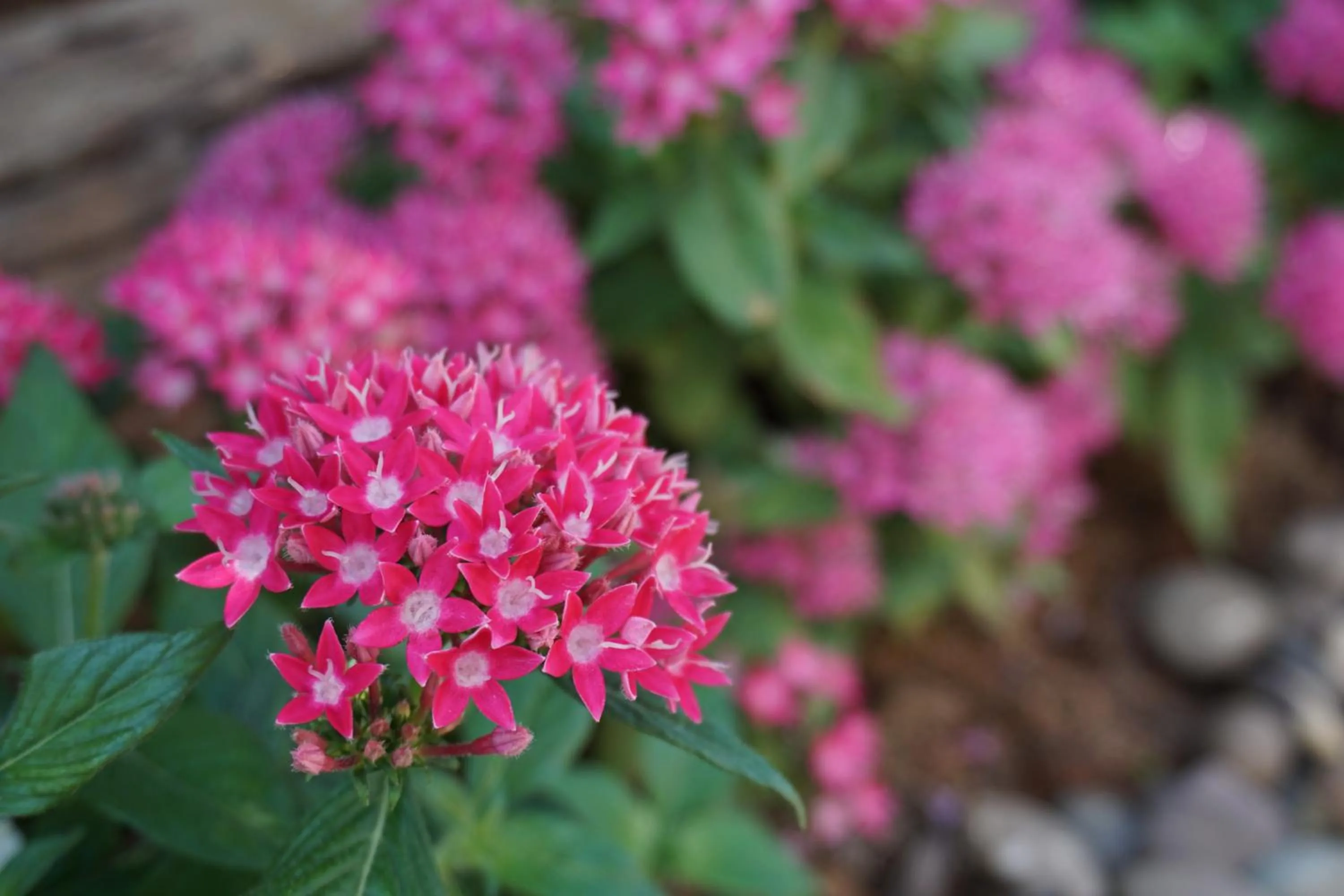 Neighbourhood in Chompu Nakarin Apartment