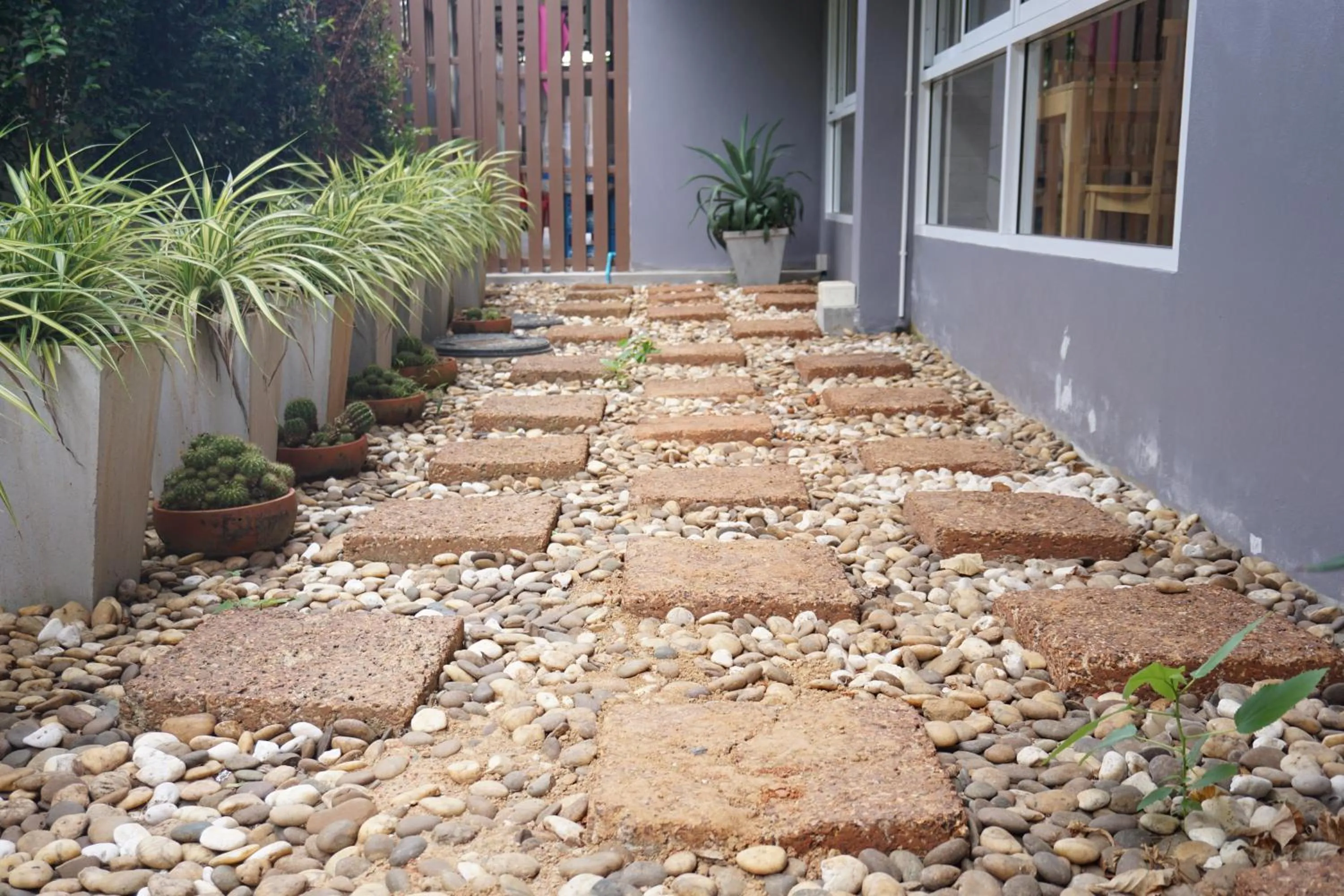 Garden in Chompu Nakarin Apartment