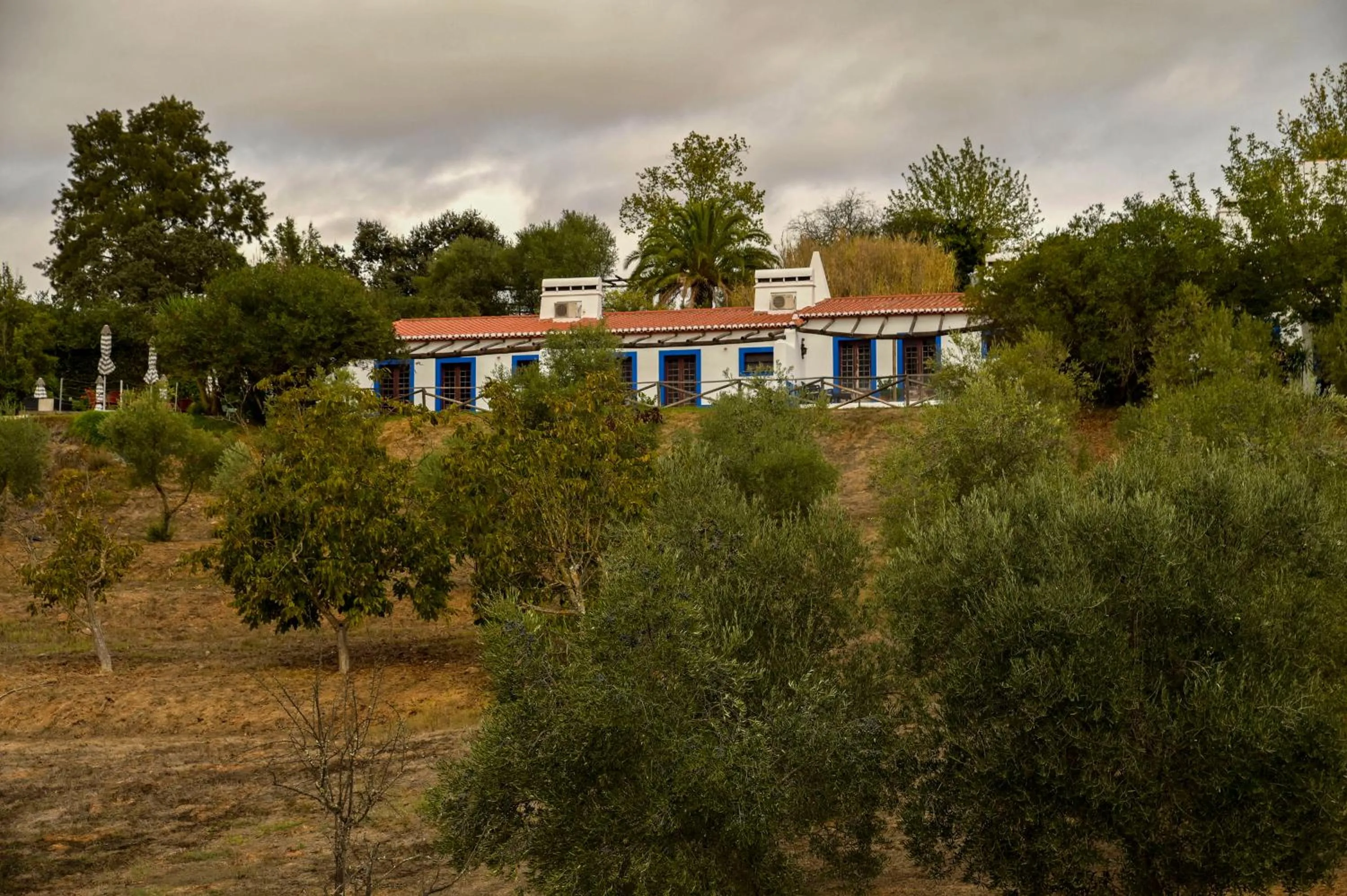 Property building in Horta da Moura by WOT Signature