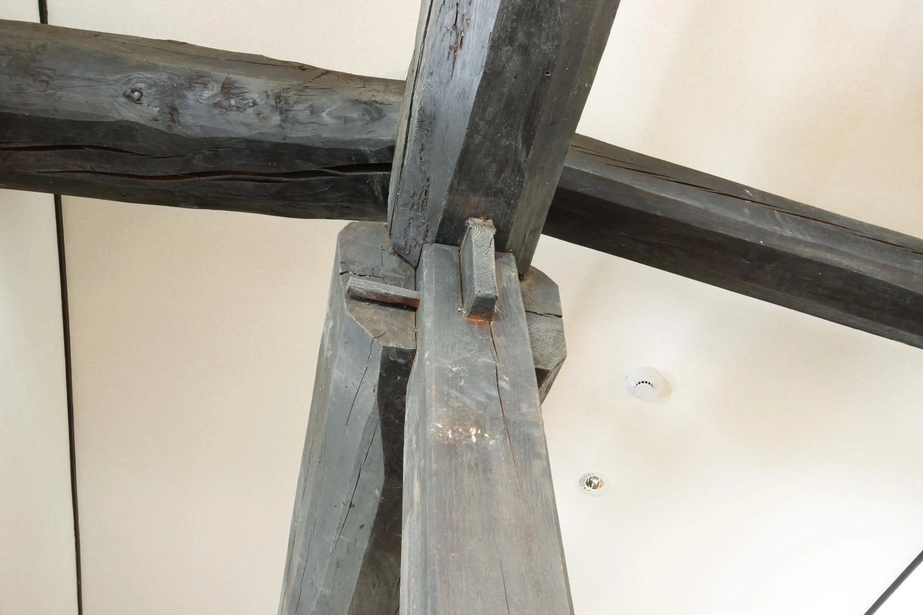 Decorative detail in SOY