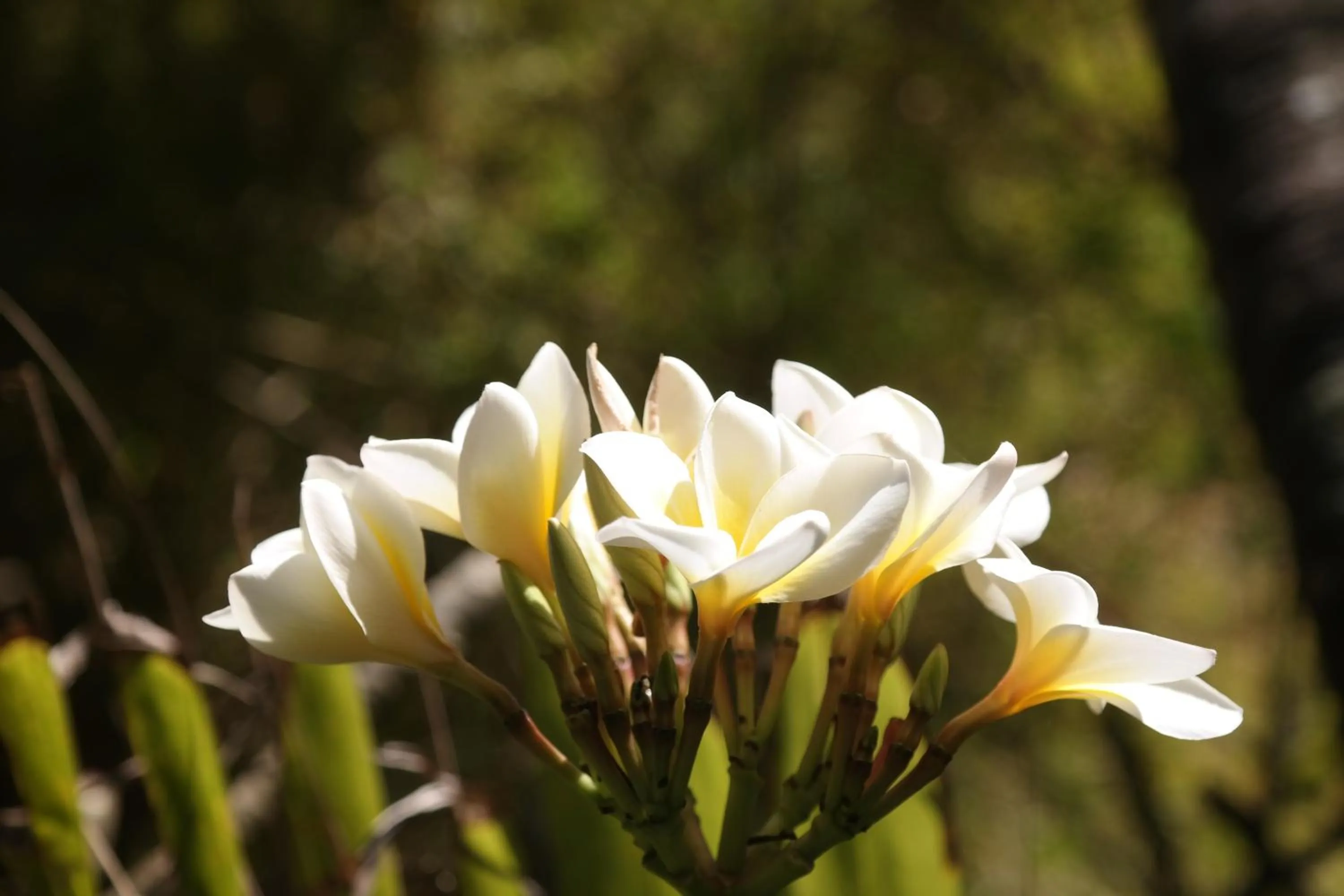 Property building in Cili Emas Oceanside Resort