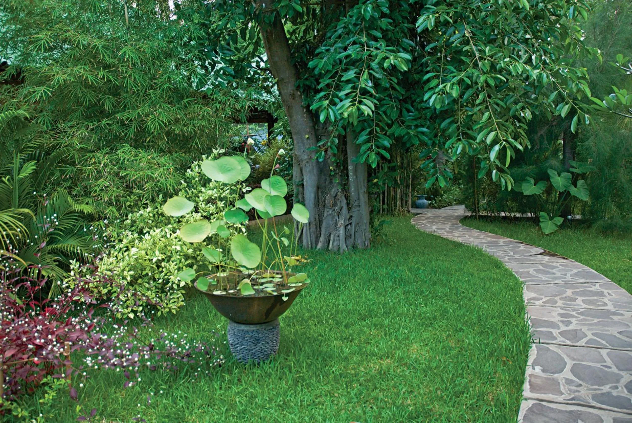 Garden view in Cili Emas Oceanside Resort