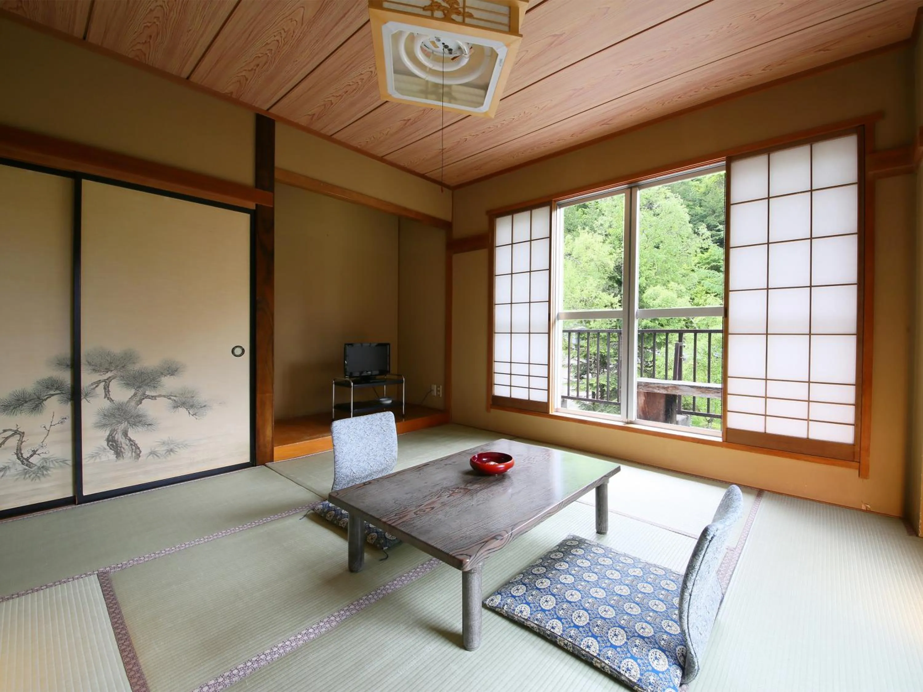Photo of the whole room in Yama no Yado Meiji Onsen