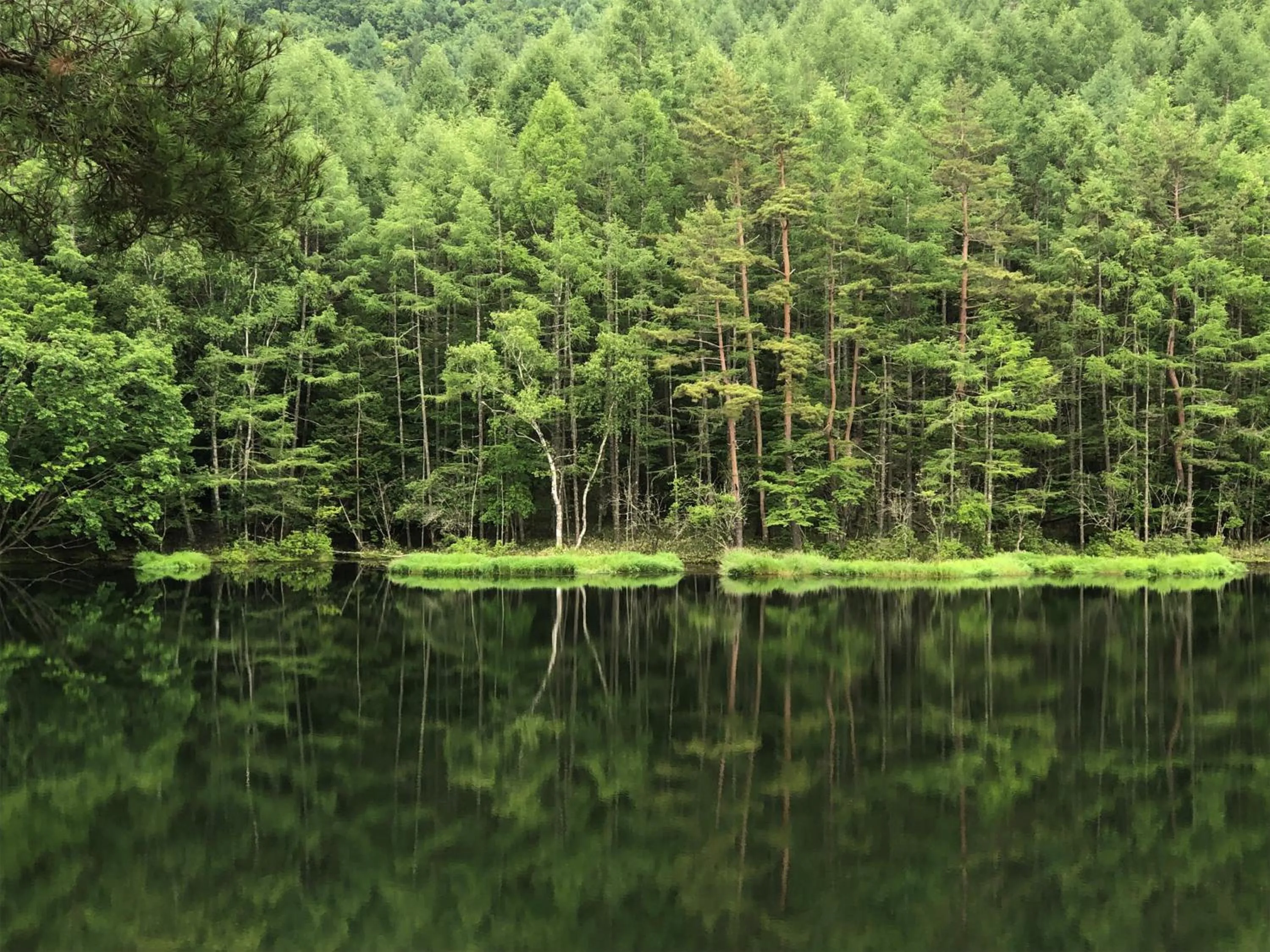 Off site in Yama no Yado Meiji Onsen
