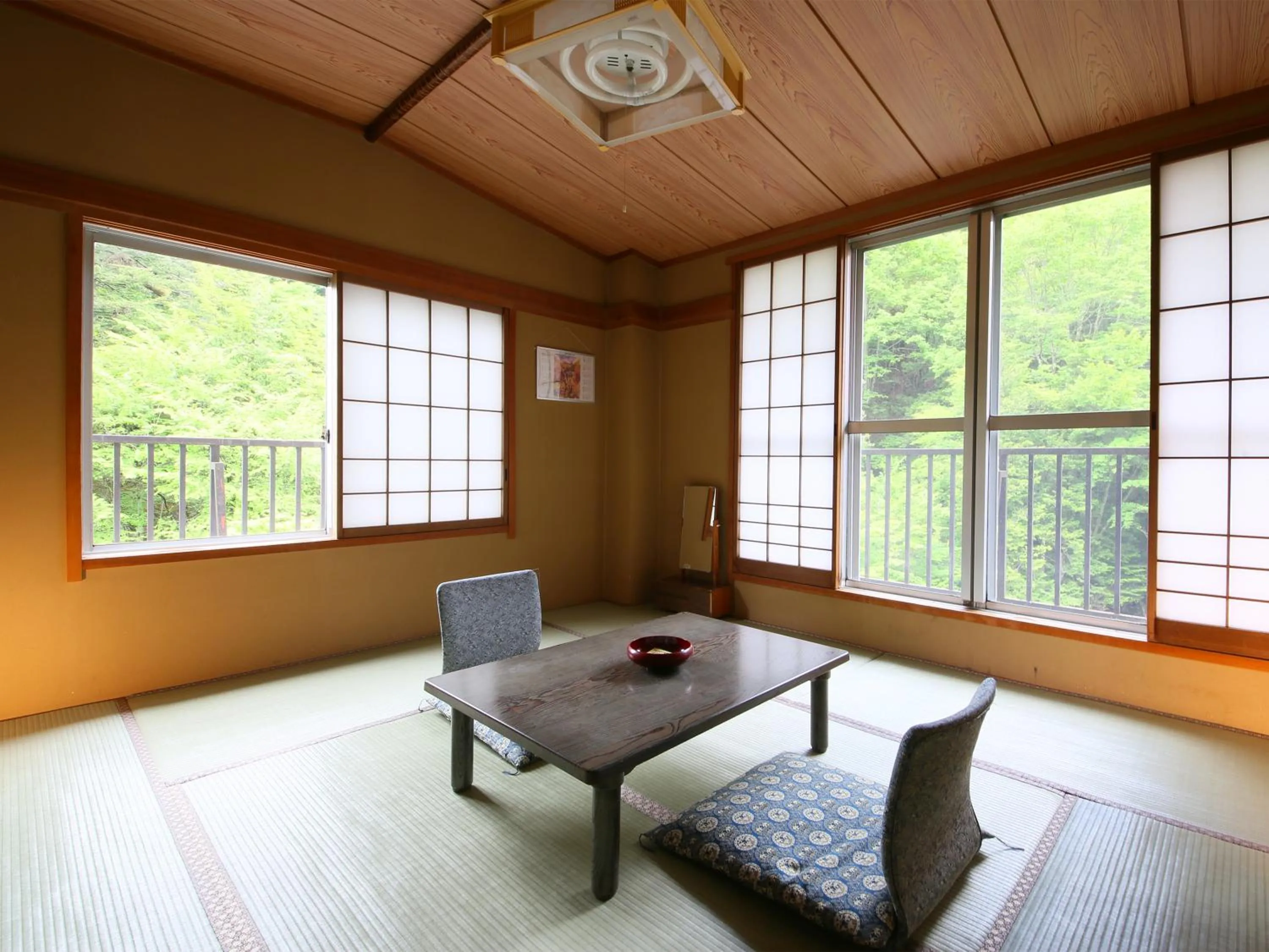 Photo of the whole room in Yama no Yado Meiji Onsen