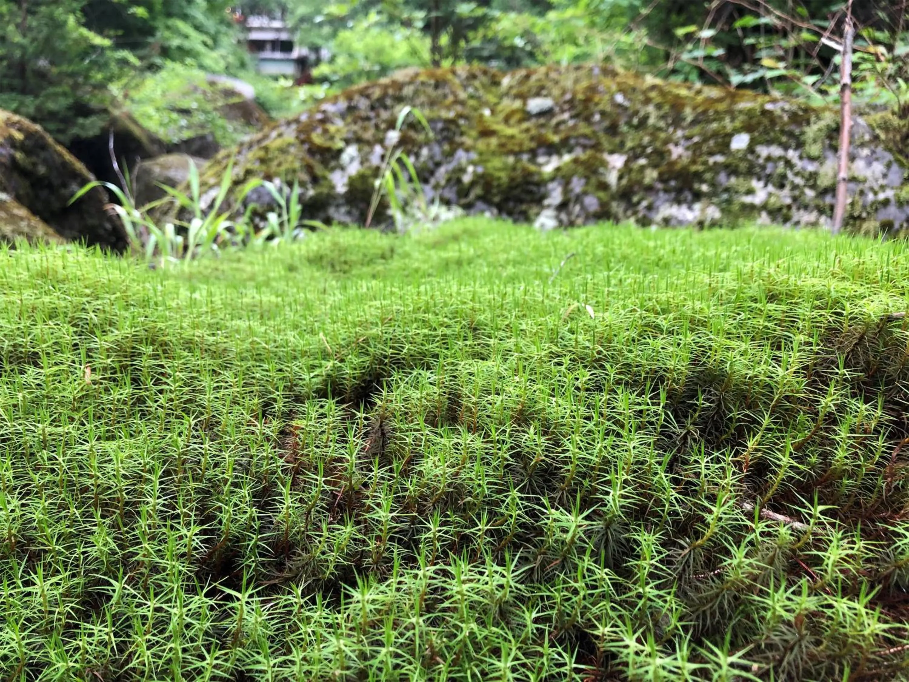Off site in Yama no Yado Meiji Onsen
