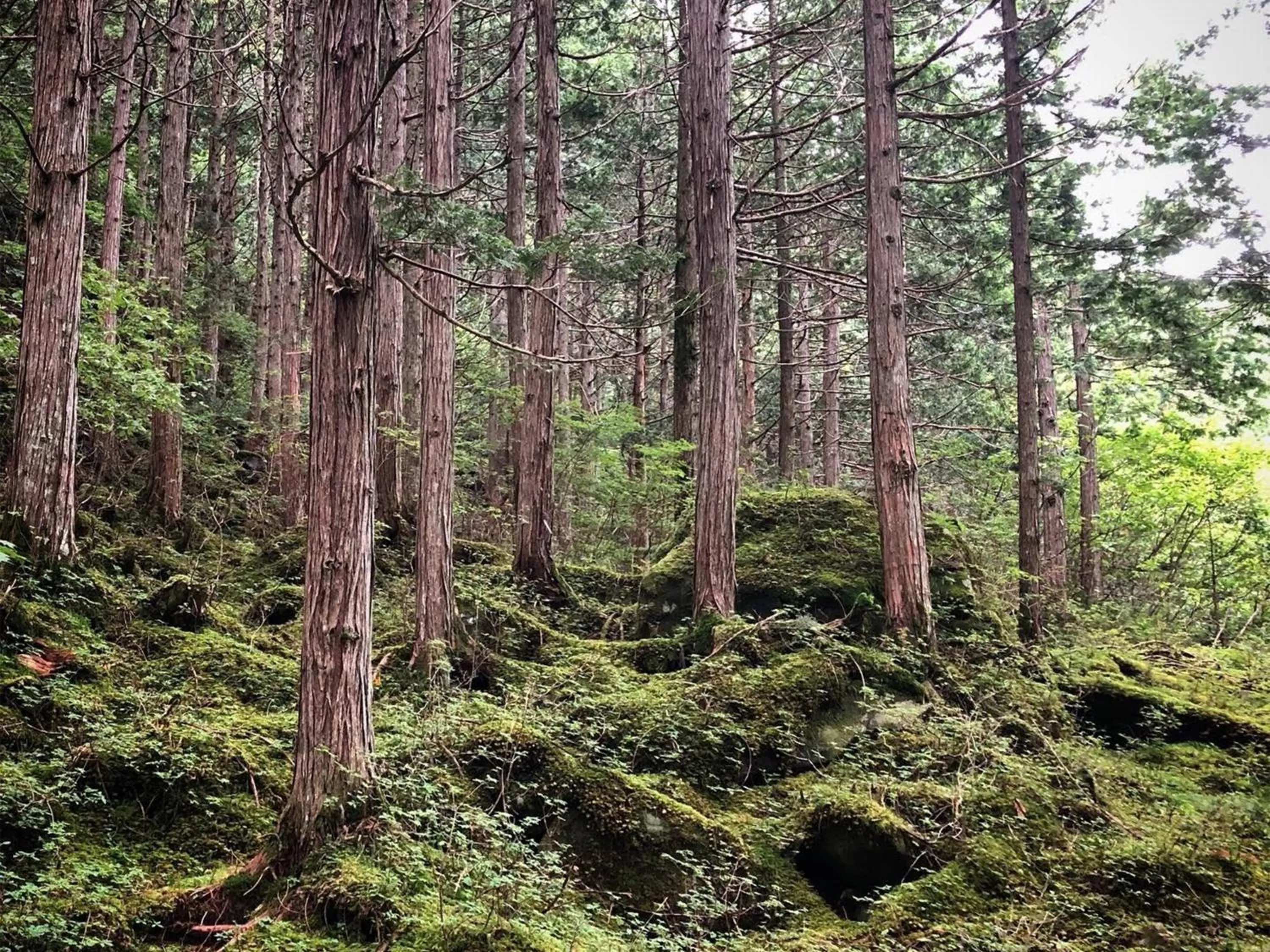Off site in Yama no Yado Meiji Onsen