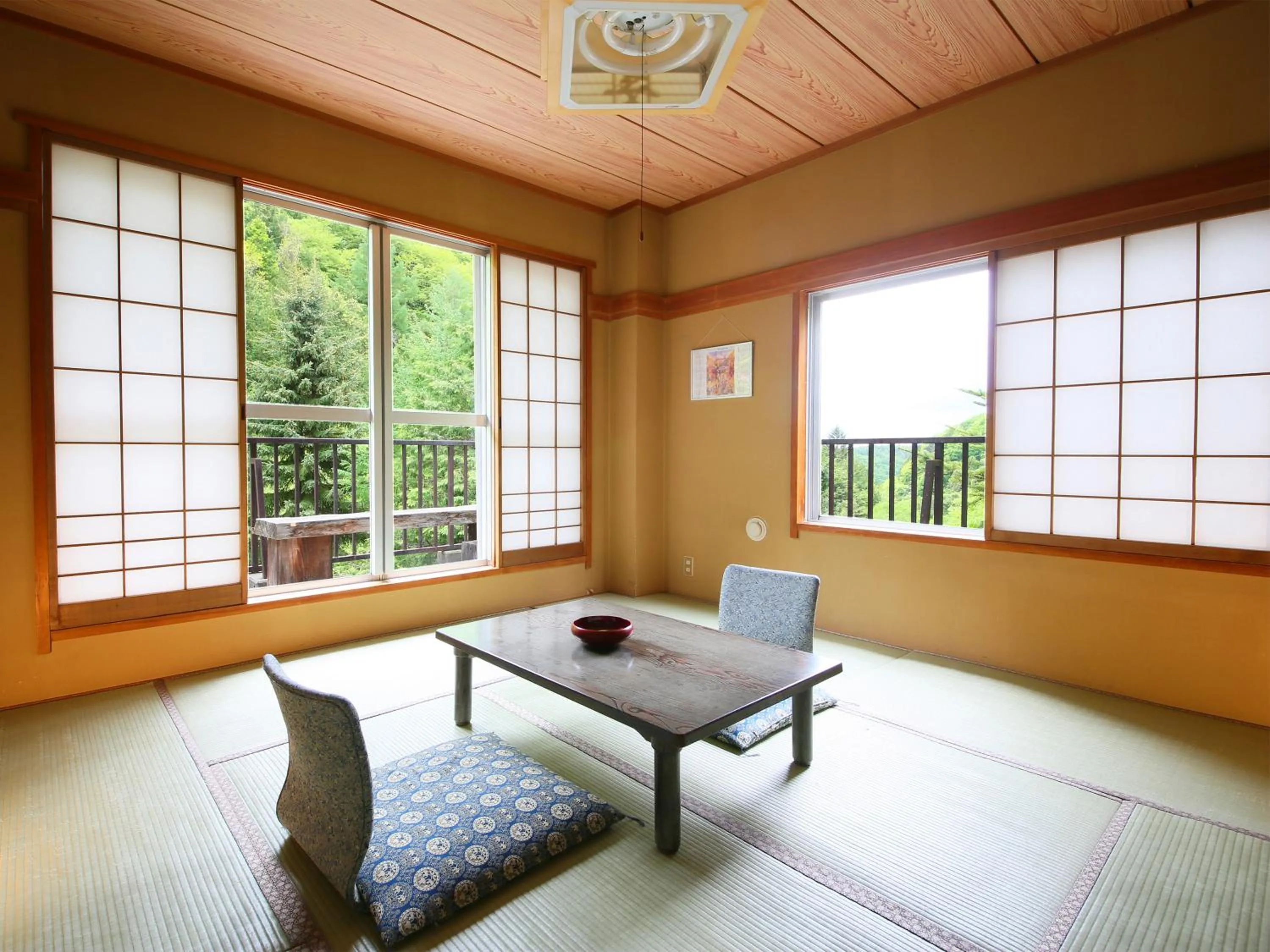 Photo of the whole room in Yama no Yado Meiji Onsen
