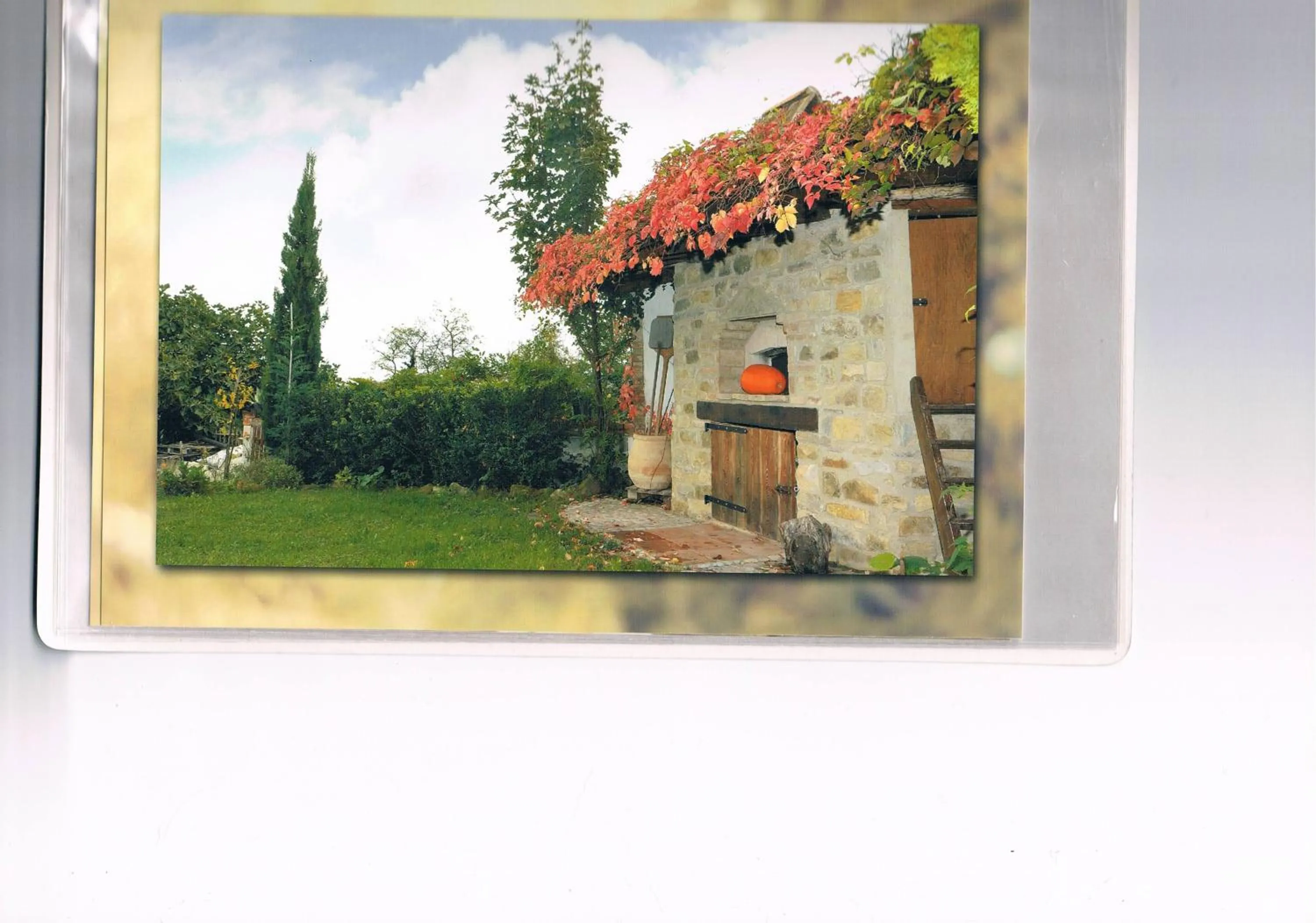 Garden in B&b San Nicola