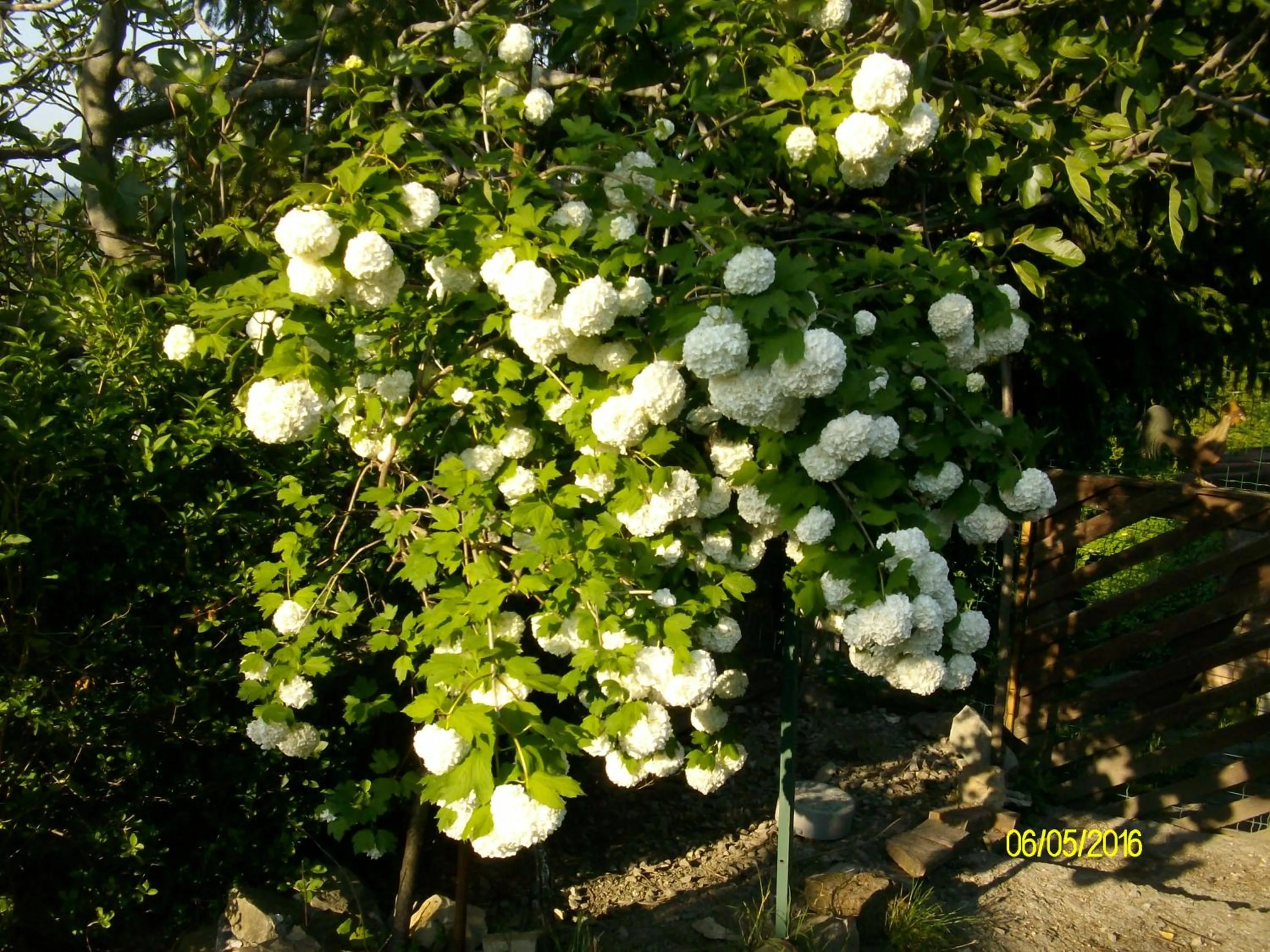 On site in B&b San Nicola