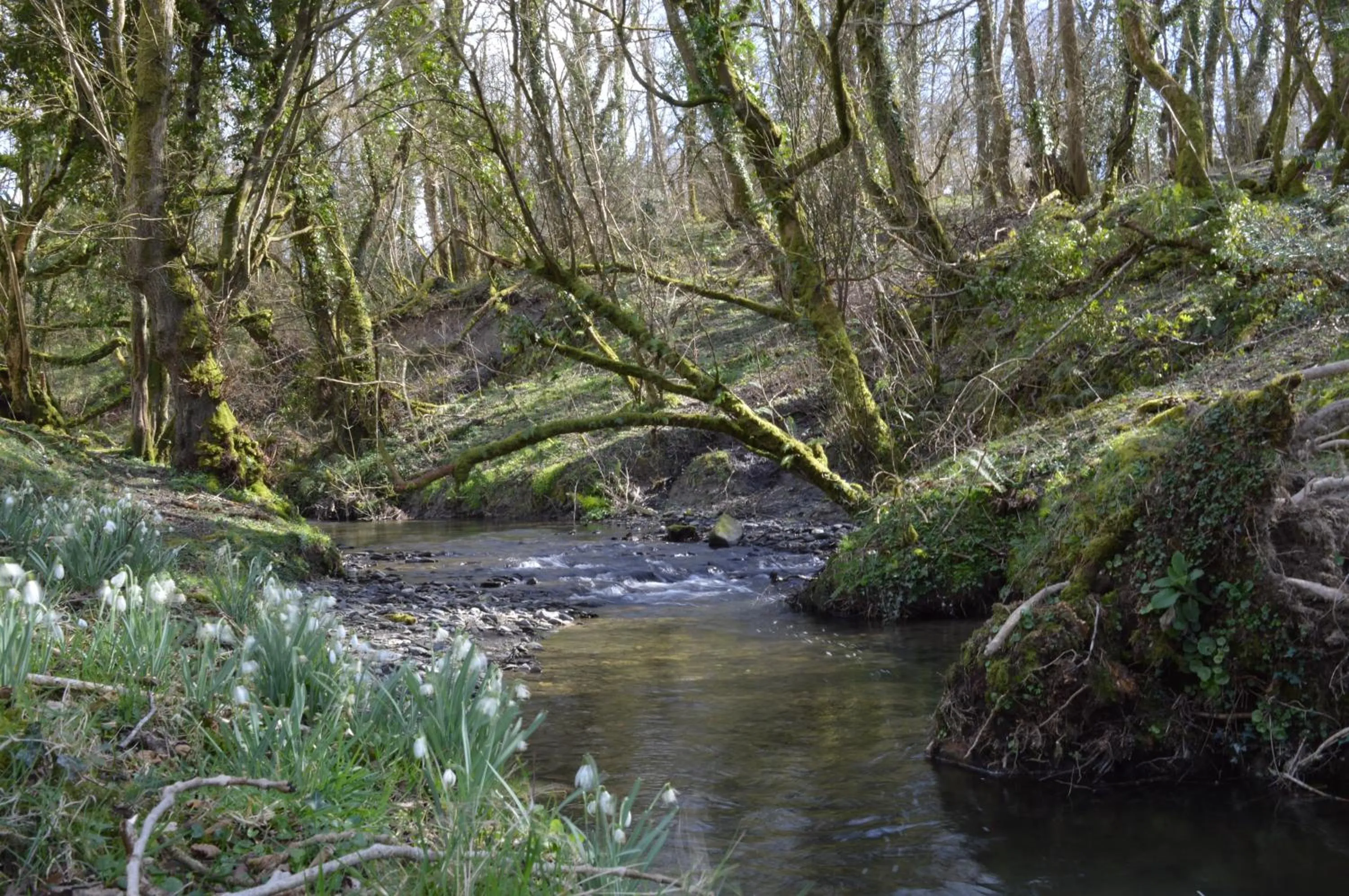 On site in Troedyrhiw Bed & Breakfast