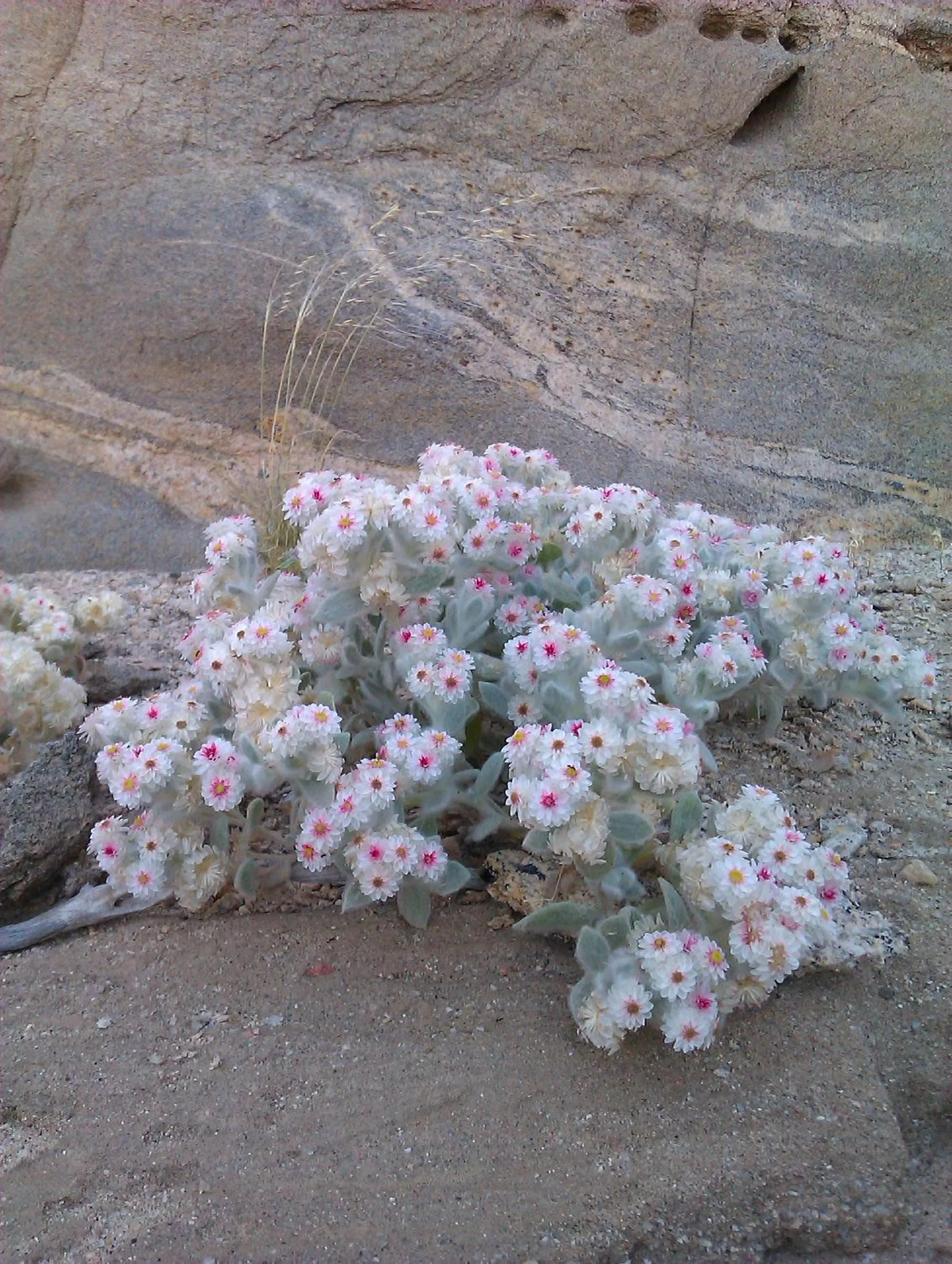 Natural landscape in Hotel A la Mer