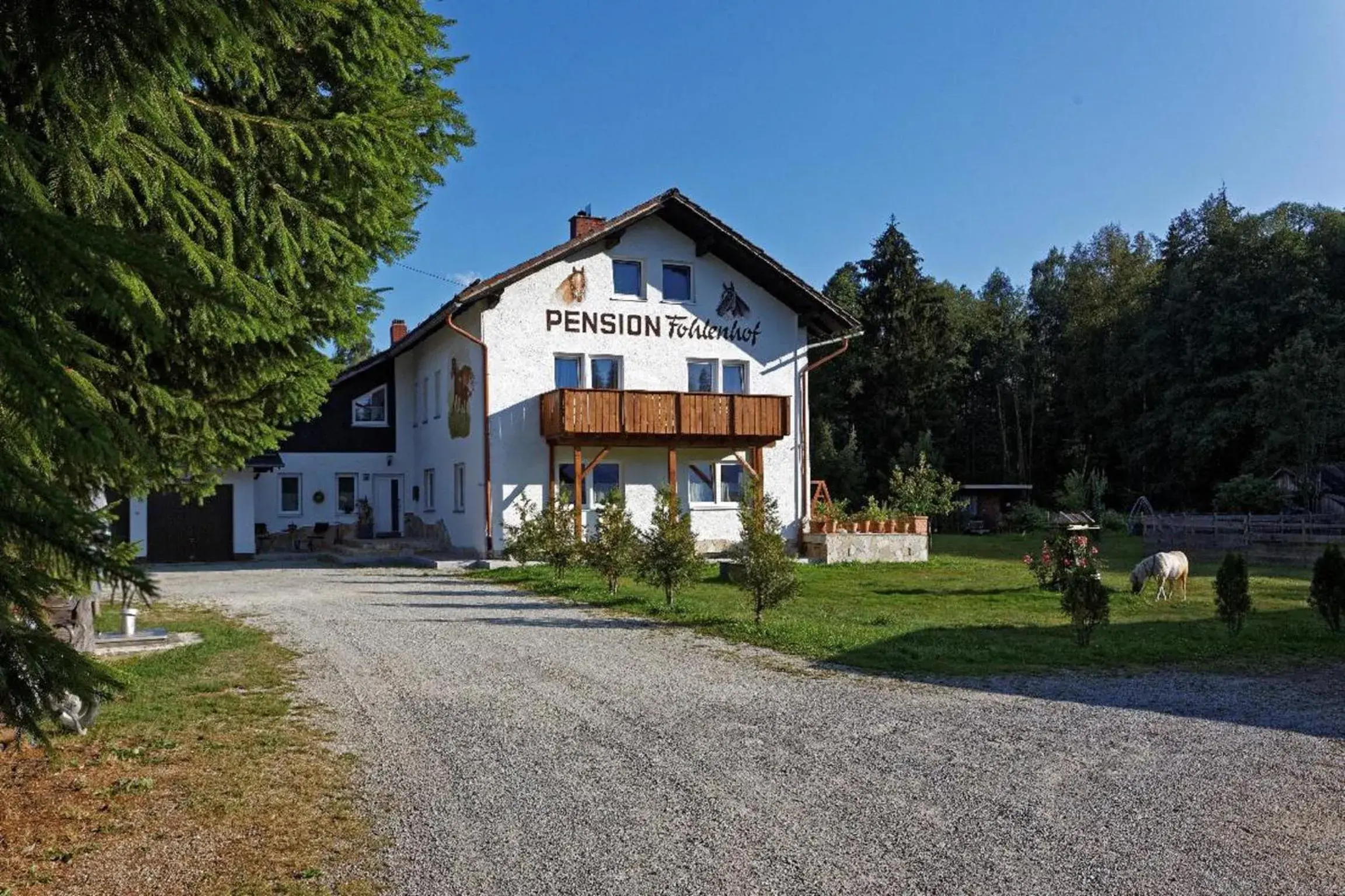 Pension Fohlenhof Pension Fohlenhof