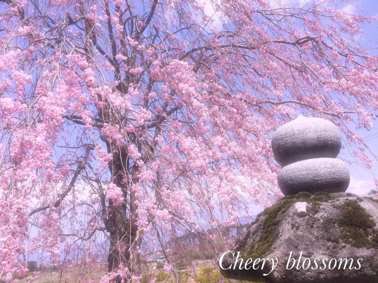 Nearby landmark in Pension Wildflowers