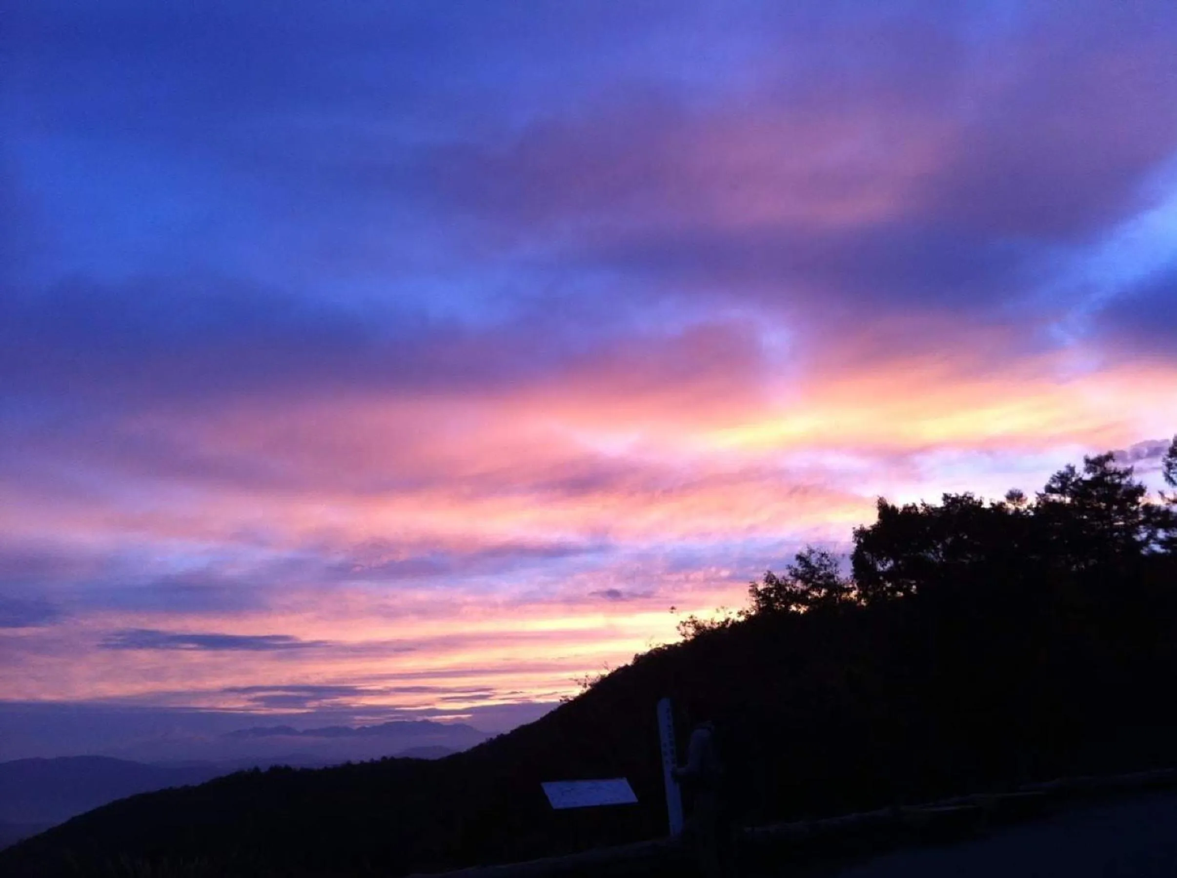 Neighbourhood in Pension Wildflowers