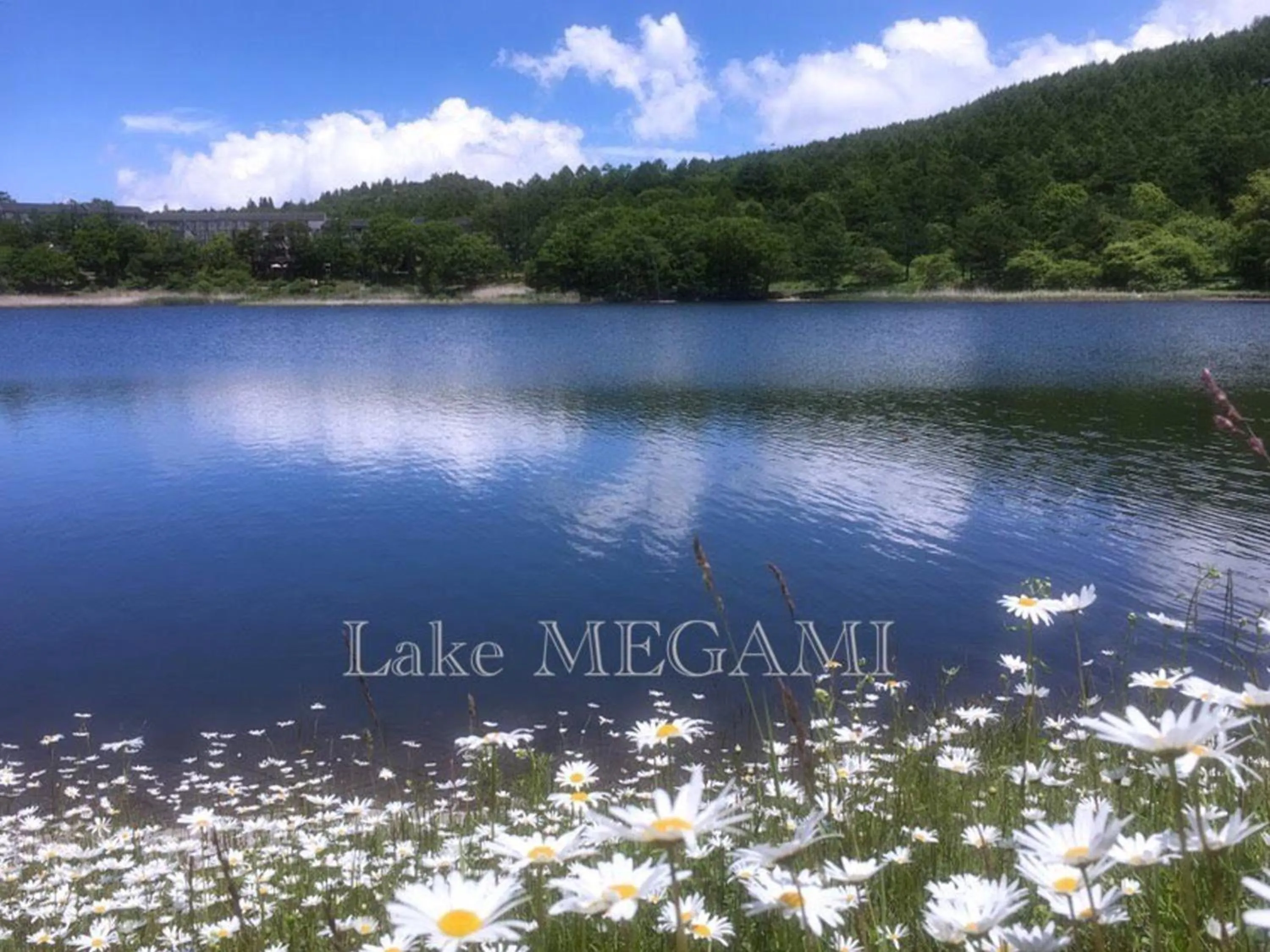 Nearby landmark in Pension Wildflowers