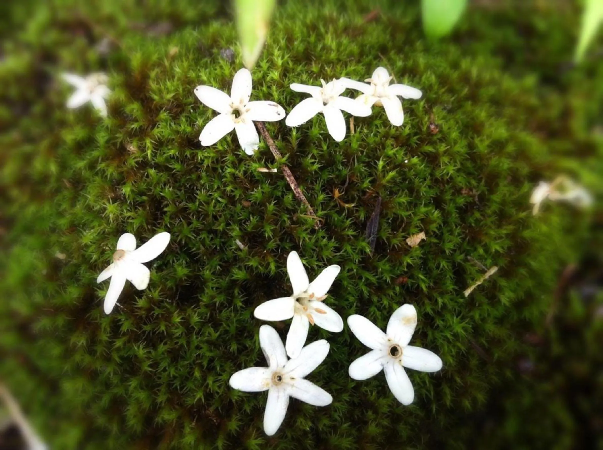 Off site in Pension Wildflowers