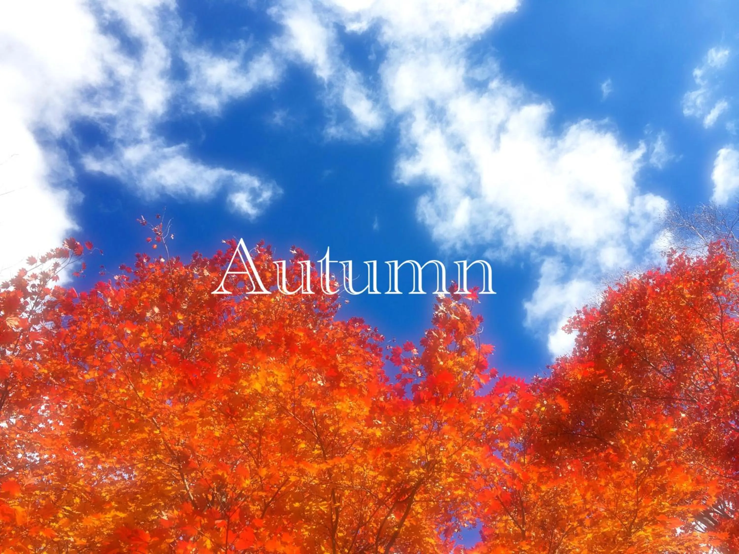 Off site in Pension Wildflowers