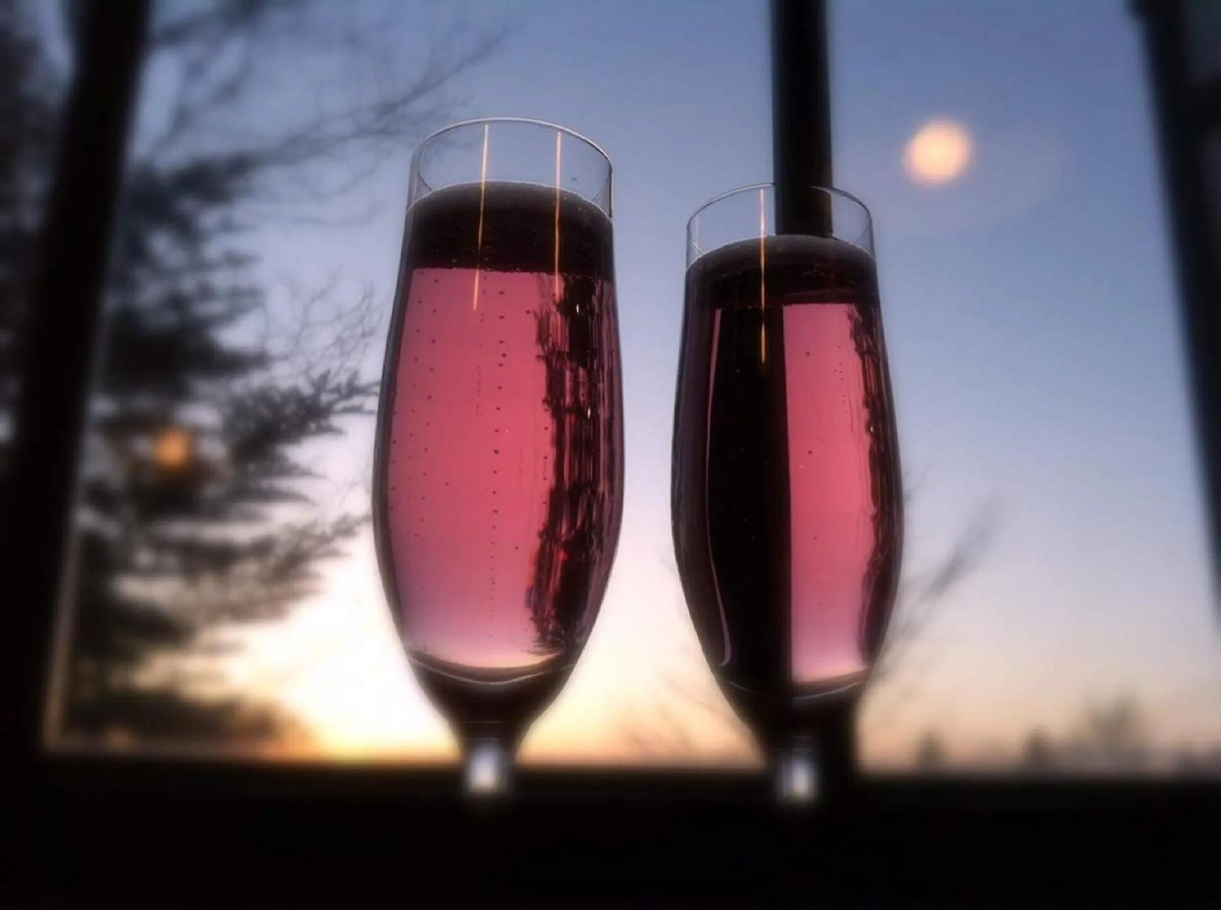 Neighbourhood in Pension Wildflowers