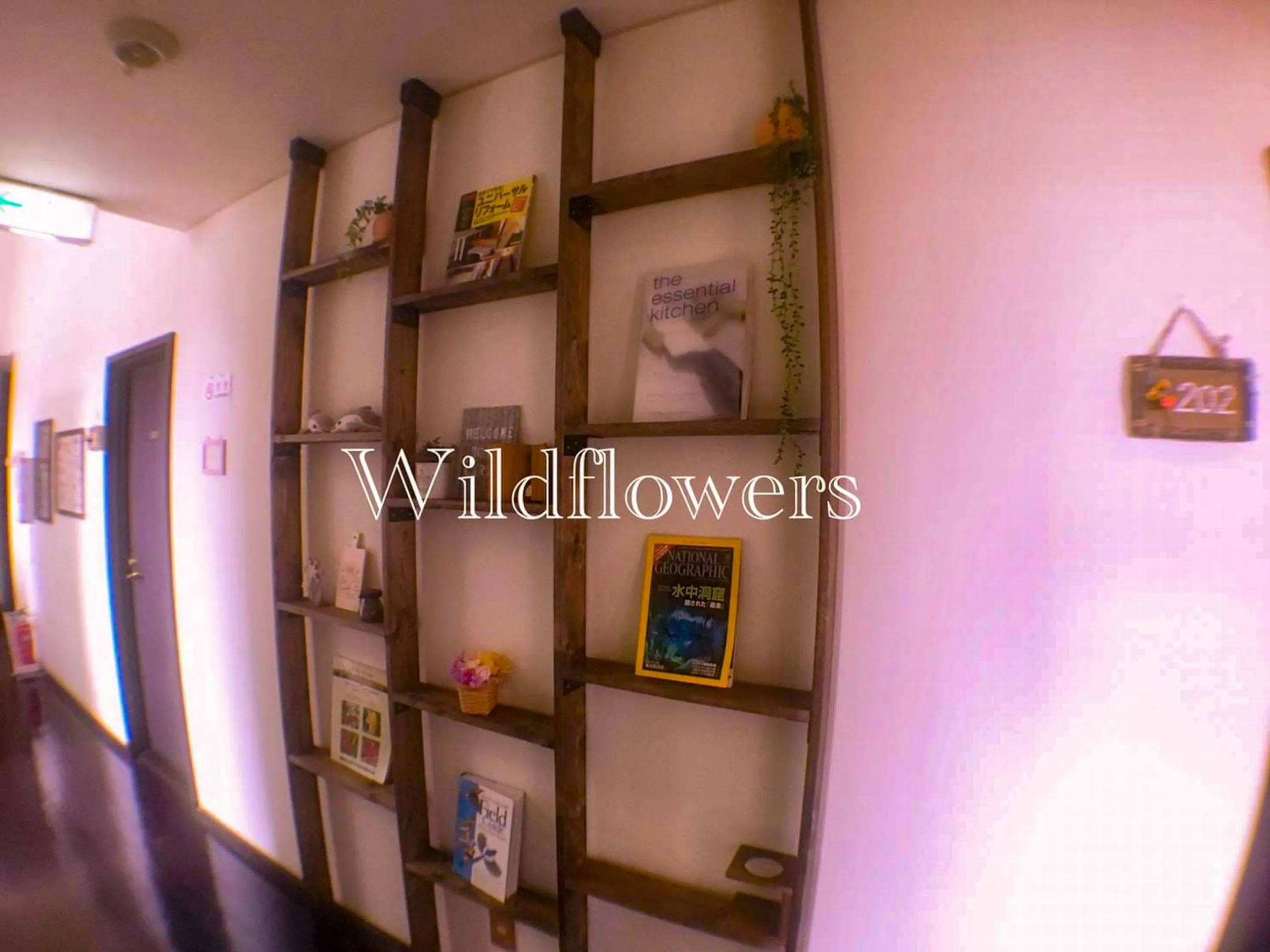 Area and facilities in Pension Wildflowers