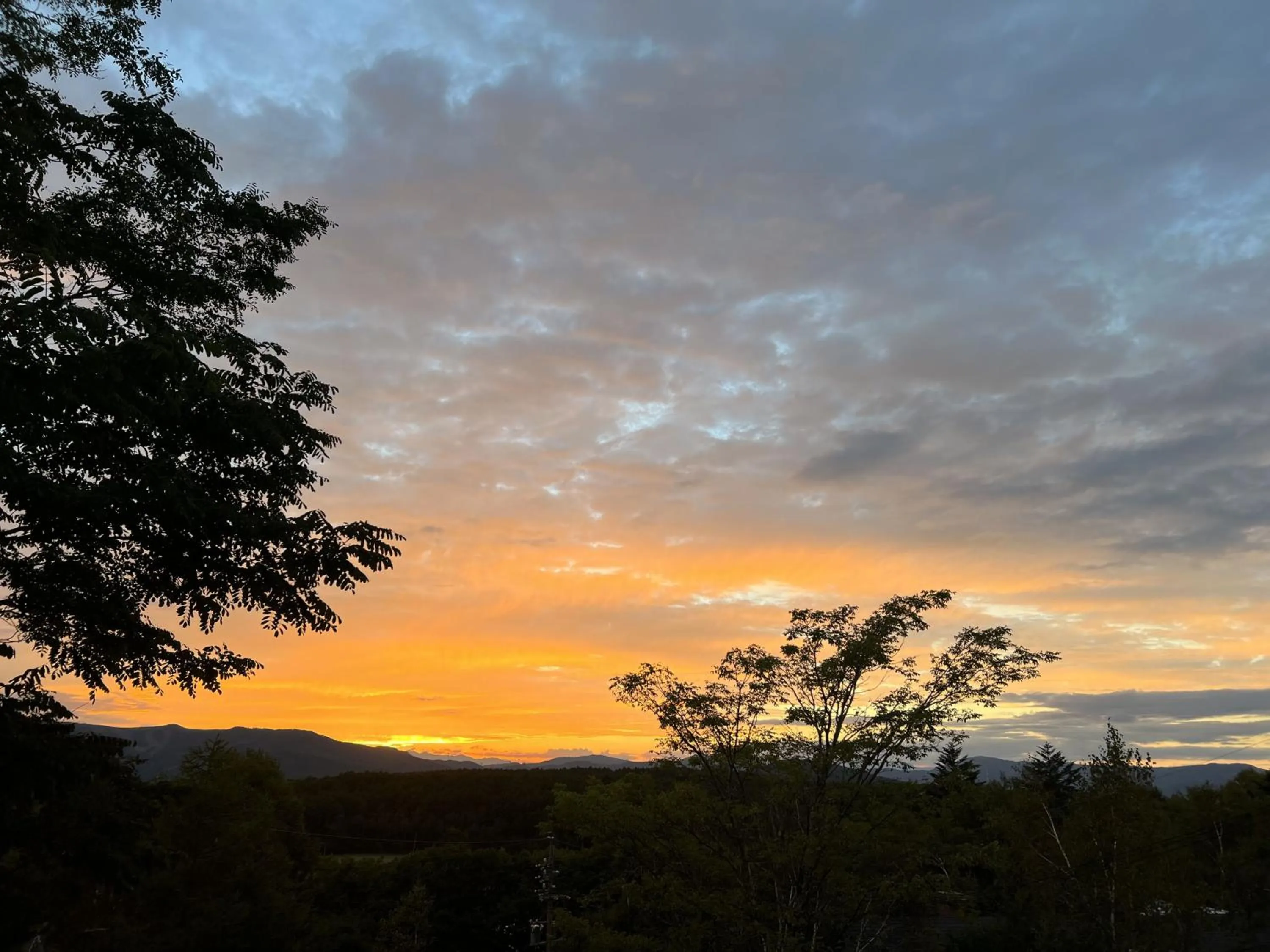 Natural landscape in Pension Wildflowers