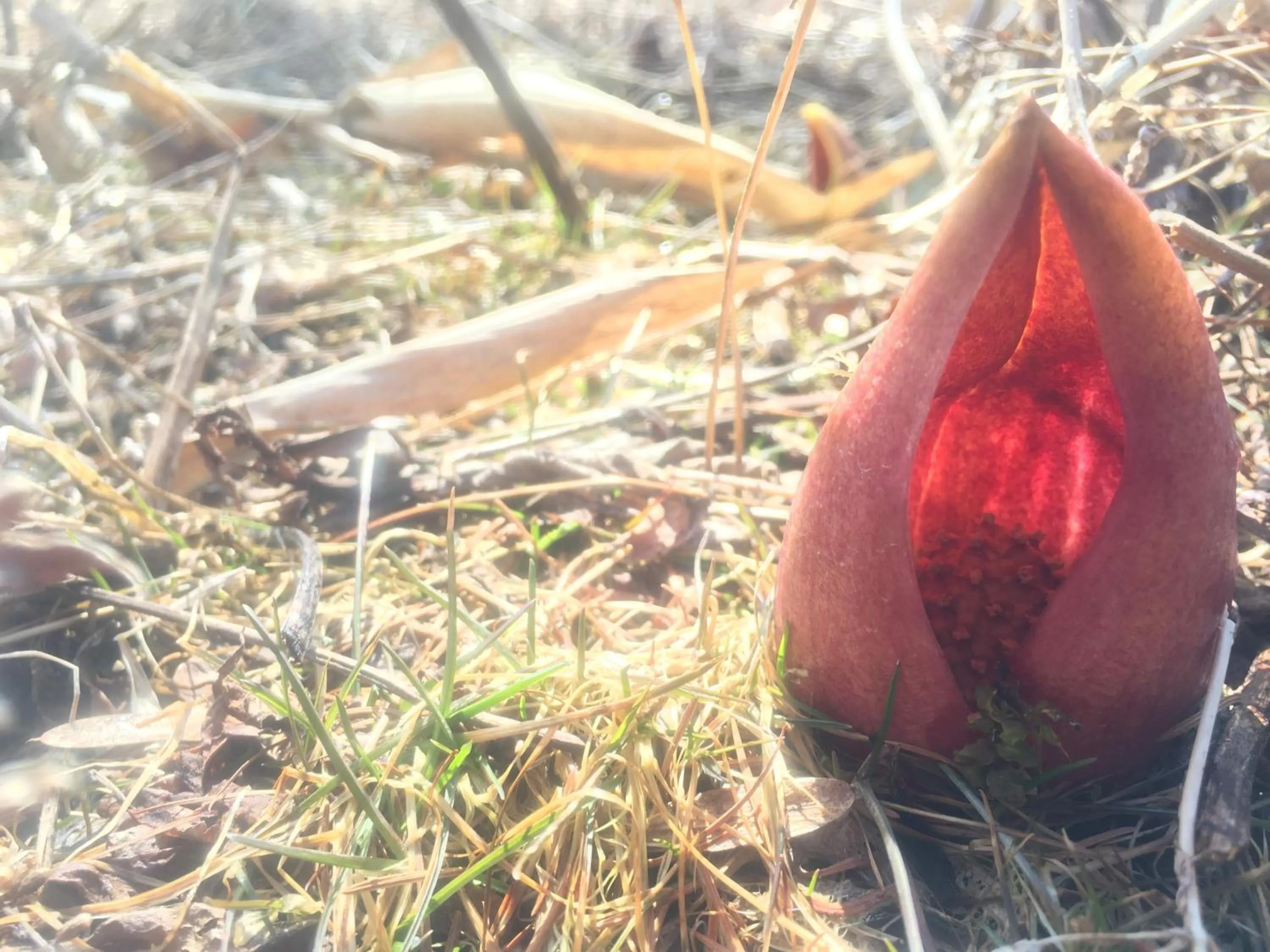 Off site in Pension Wildflowers