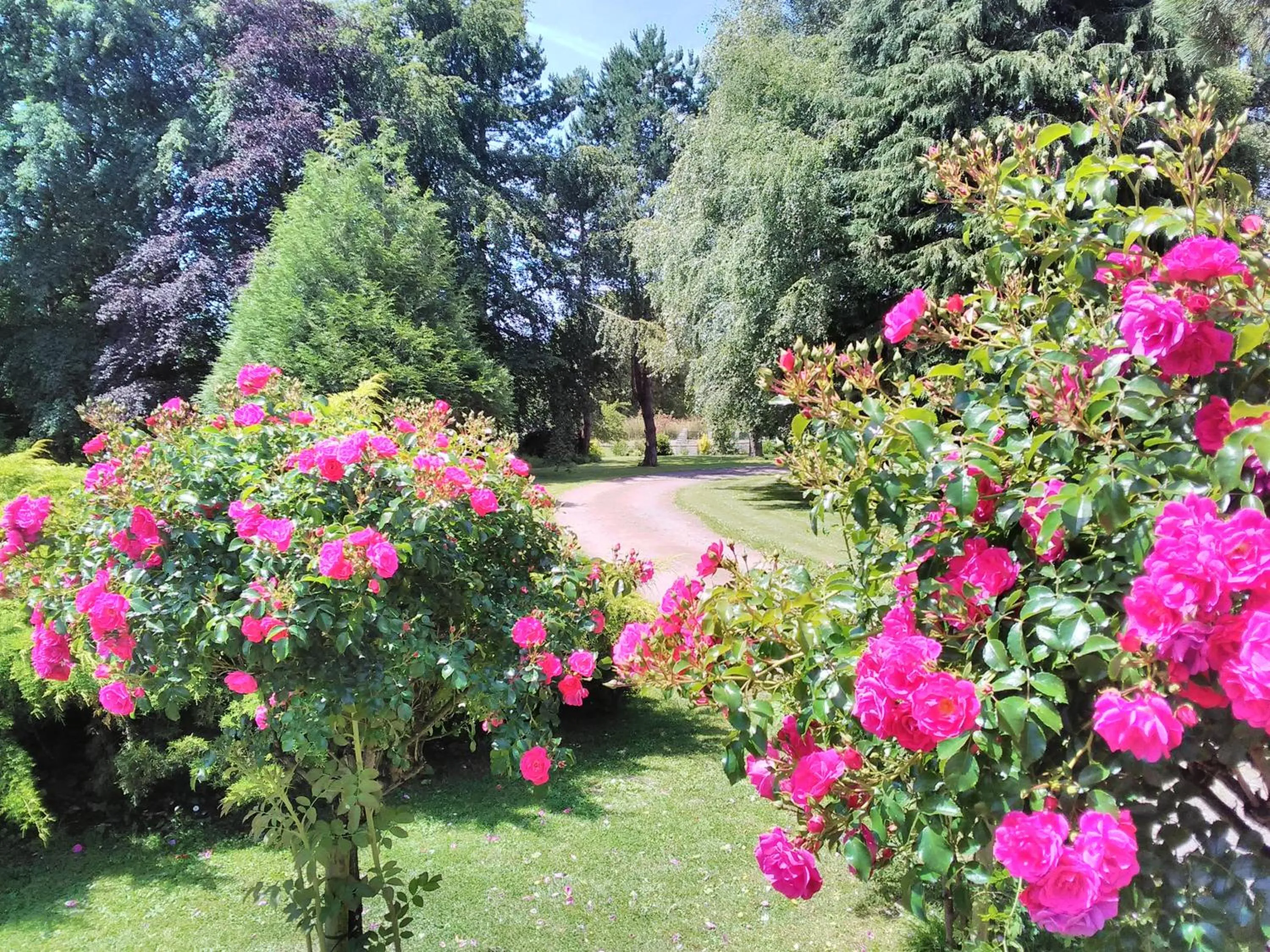 Property building in La Pomme Rouge