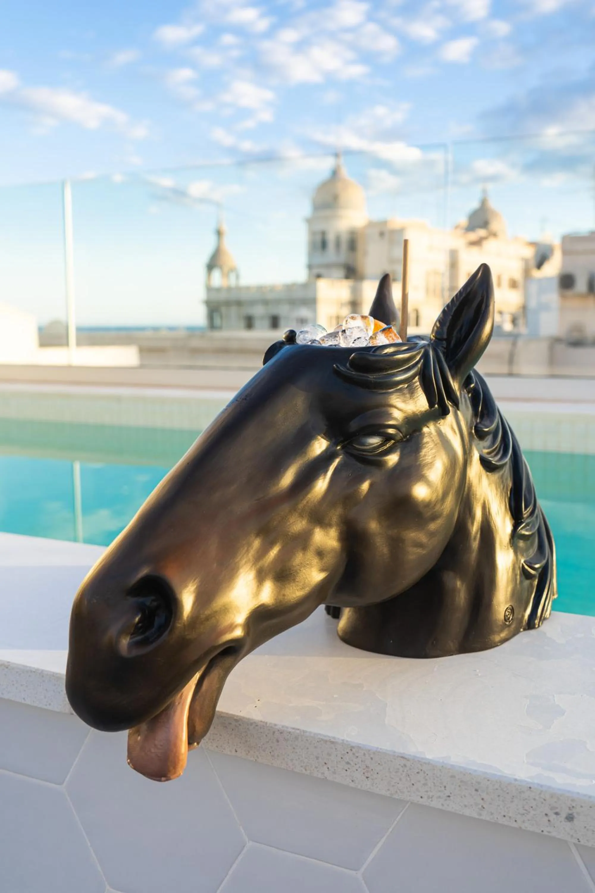 Lounge or bar in Dormirdcine Alicante