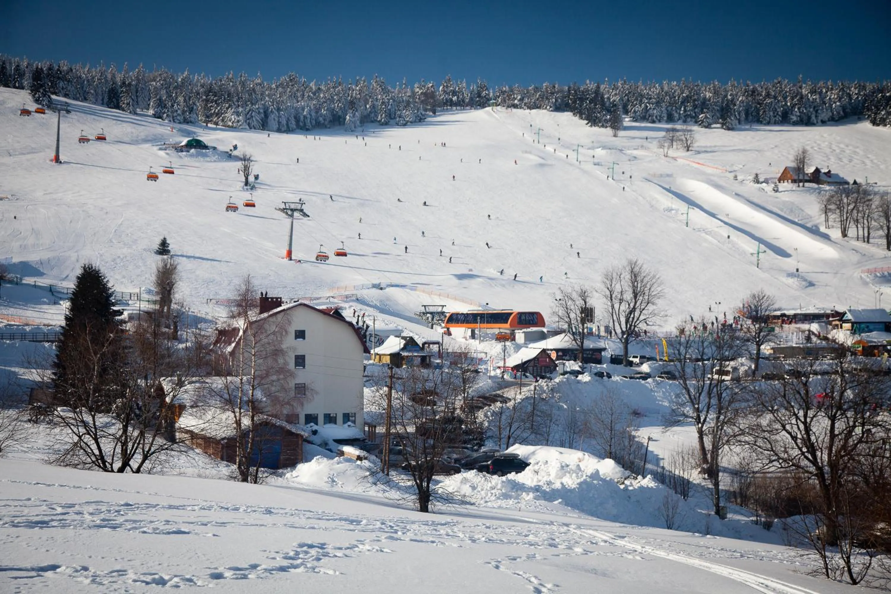 Skiing in Absolwent