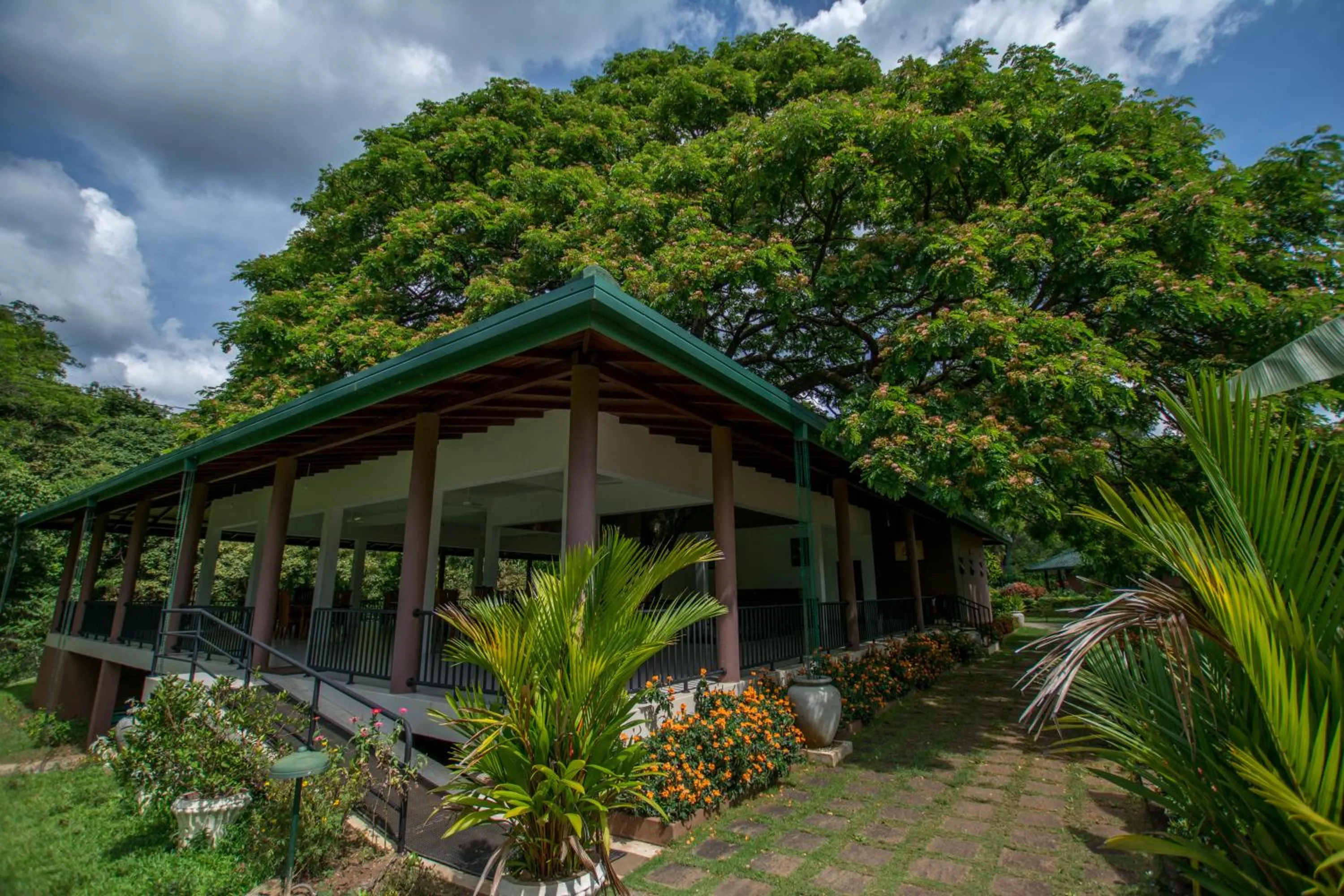 Restaurant/places to eat in Grand & Gangula