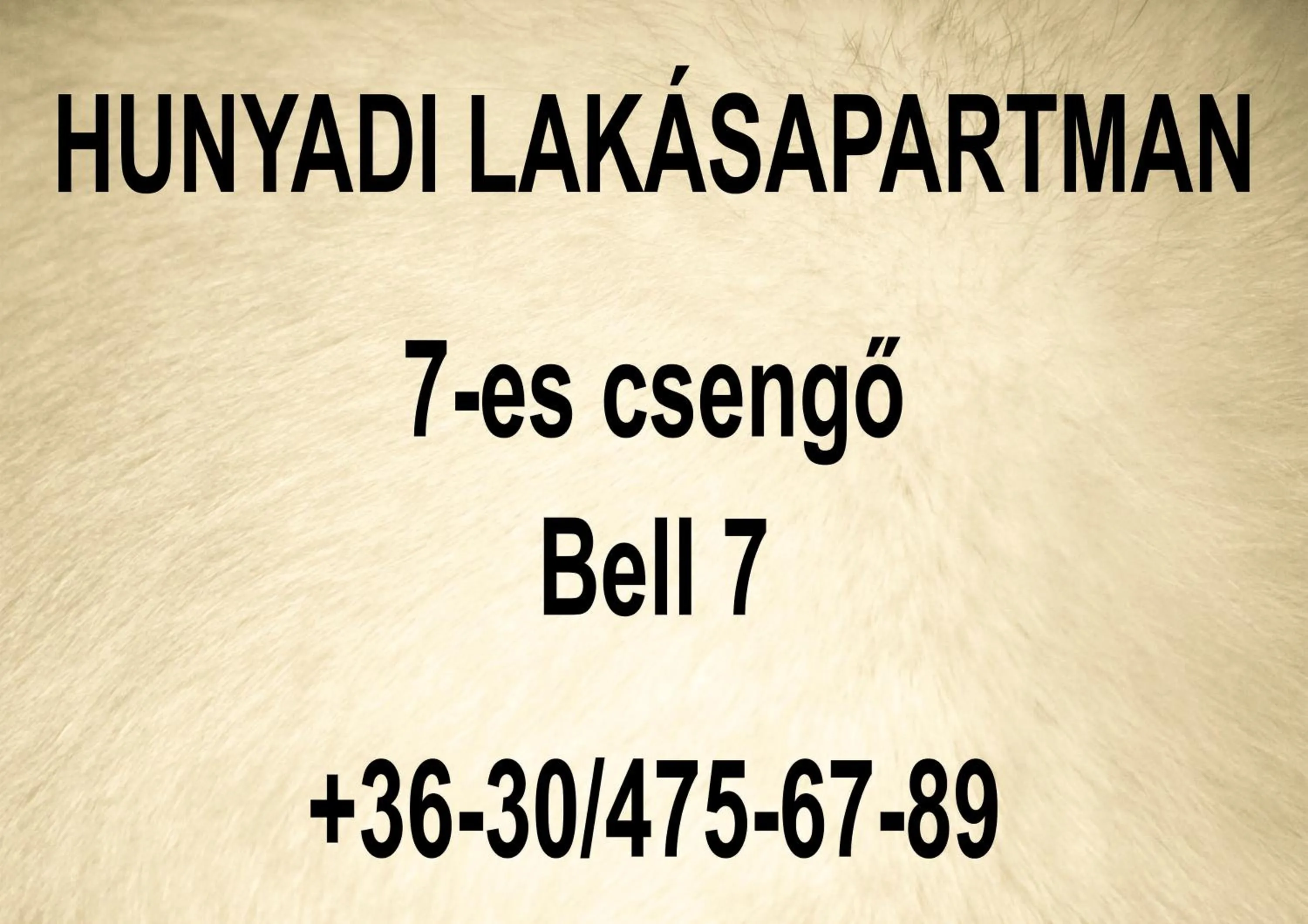 Three-Bedroom Apartment in Hunyadi Apartment
