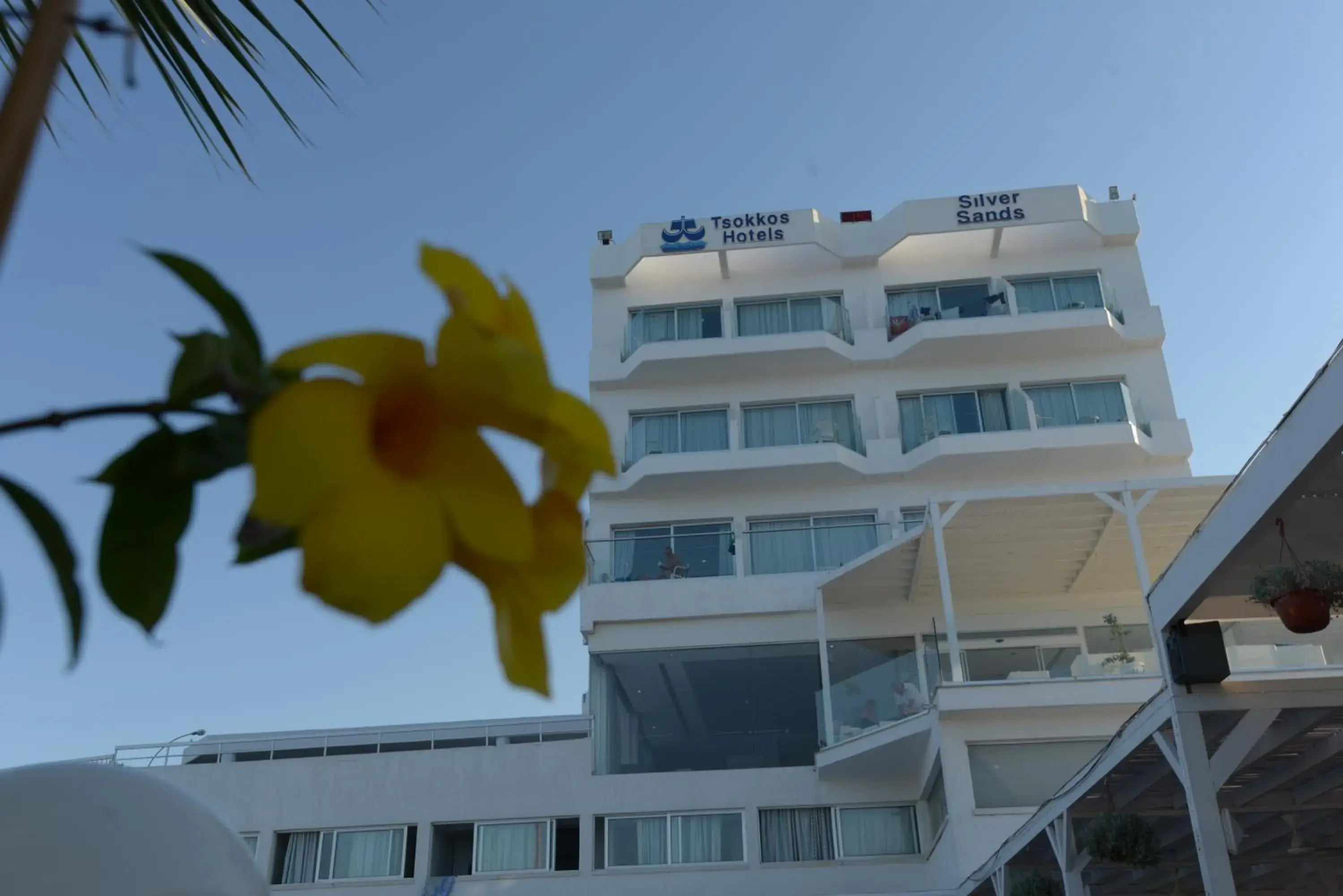 Property building in Silver Sands Beach Hotel Property building in Silver Sands Beach Hotel