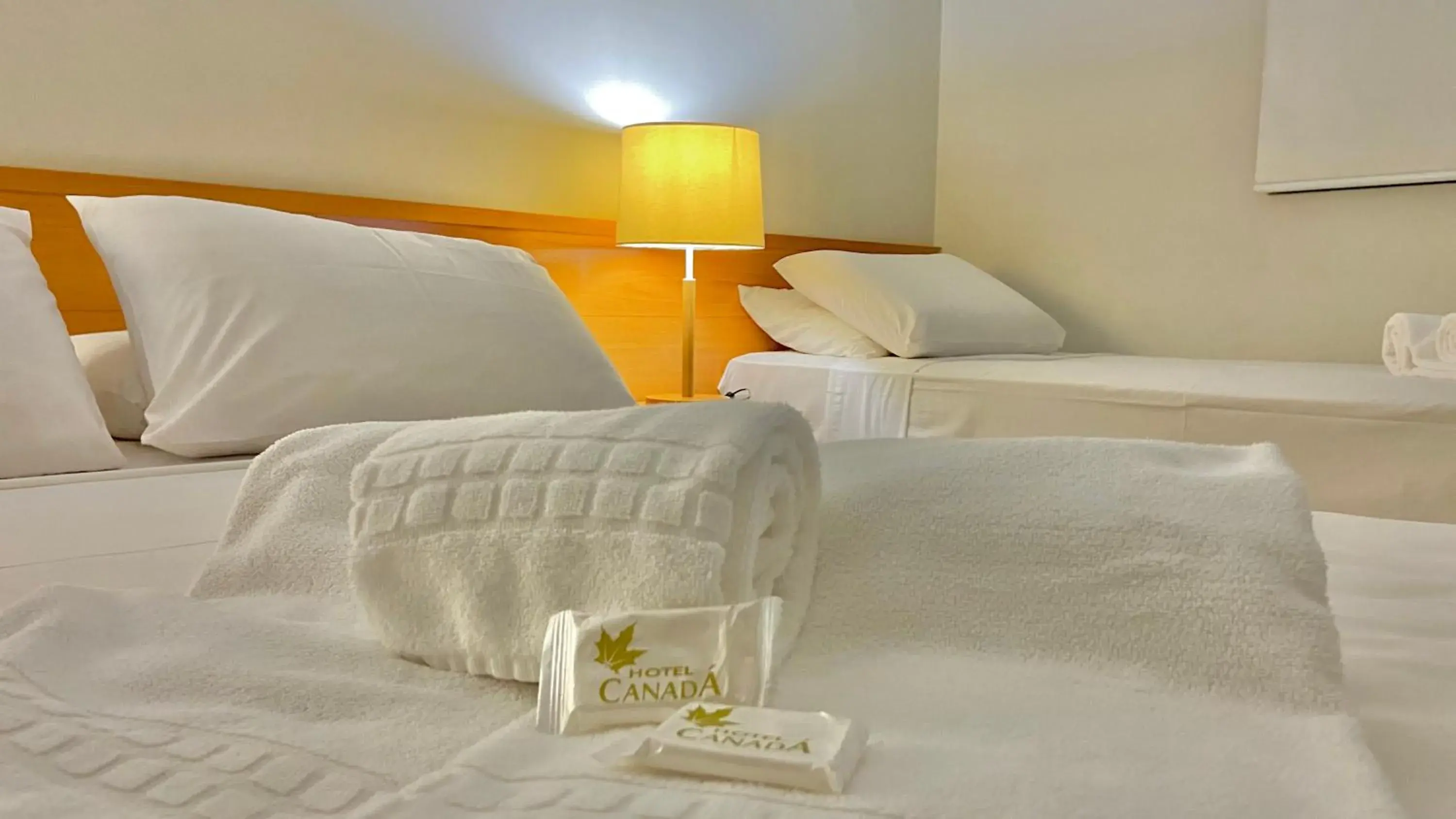 Double Room in Hotel Canada Double Room in Hotel Canada