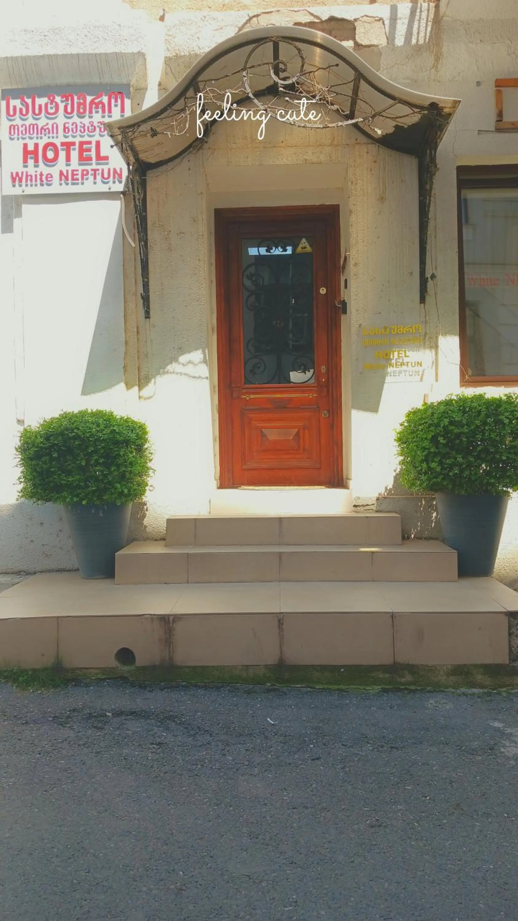 Hotel White Neptun Georgia Tbilisi