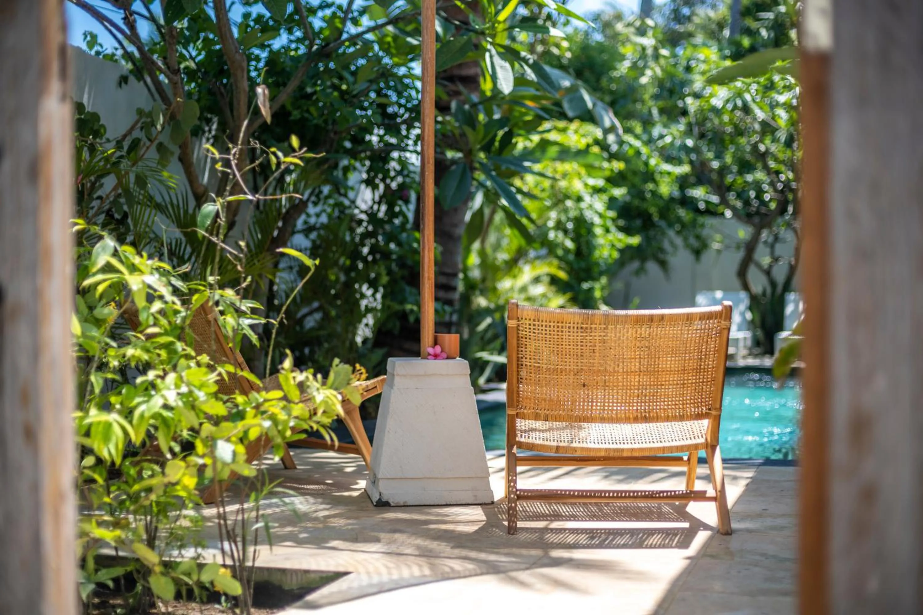 Garden in Akasia Villas