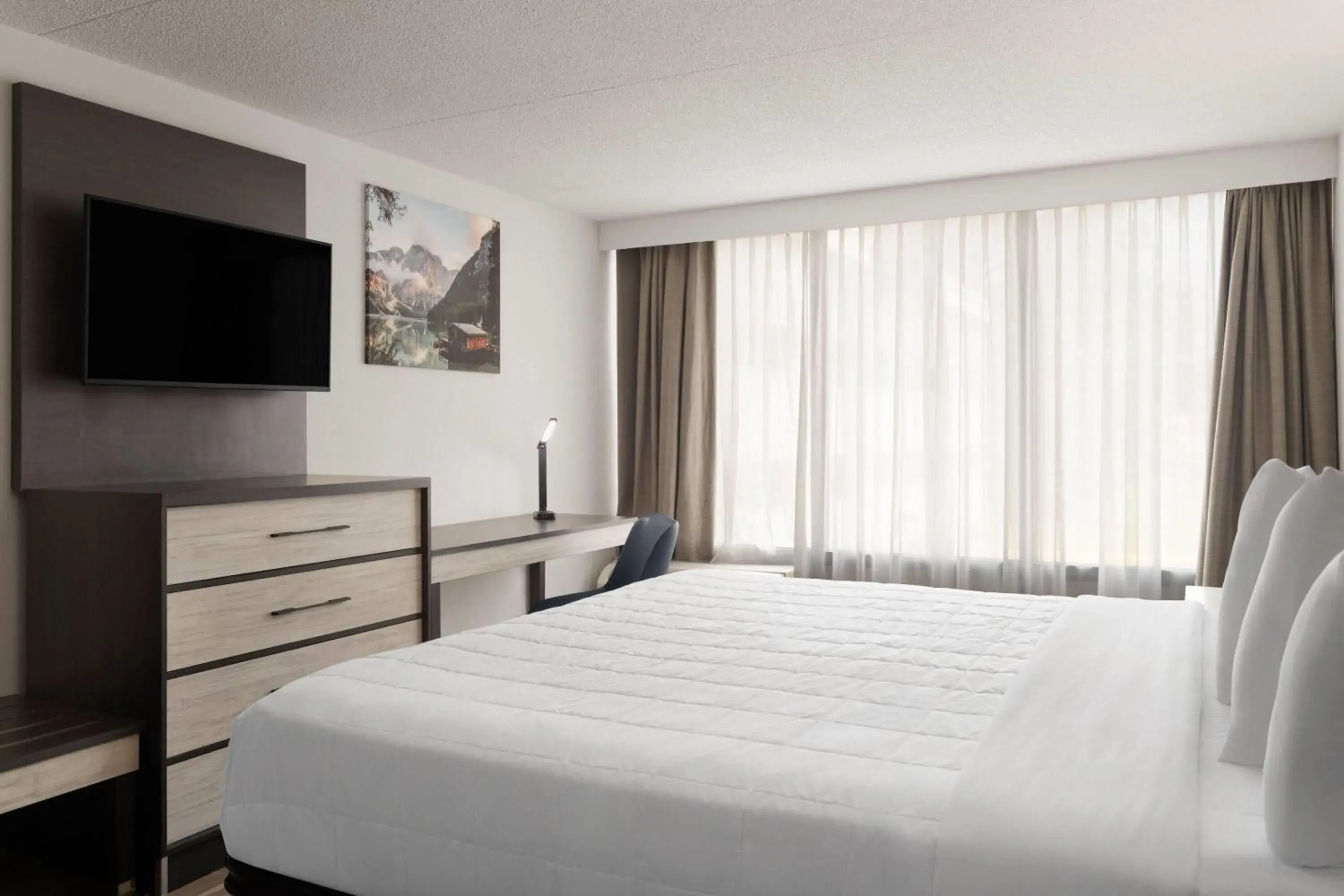 Photo of the whole room, Bed in Baymont by Wyndham Williamsburg I-64 Photo of the whole room, Bed in Baymont by Wyndham Williamsburg I-64