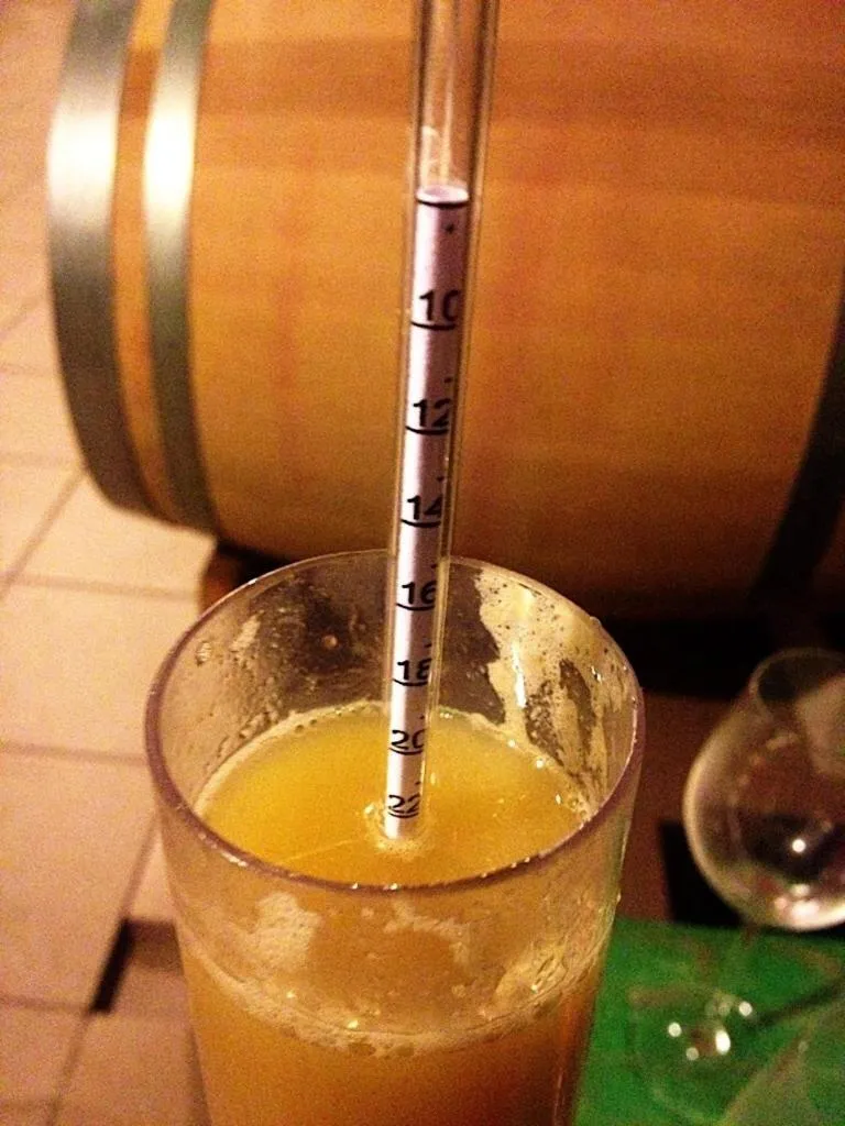 Non alcoholic drinks in Villa Vinica