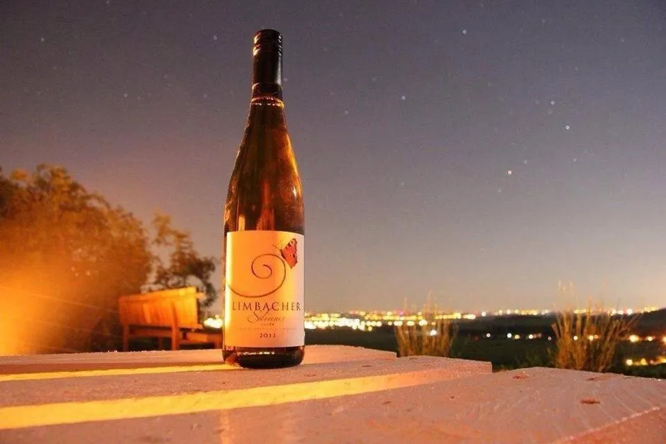 Night in Villa Vinica