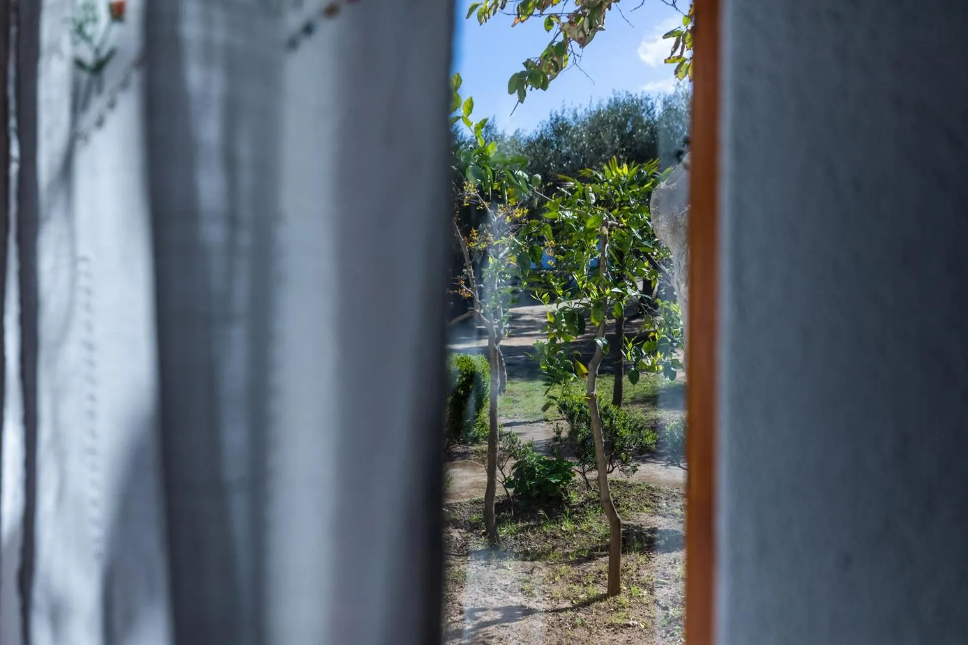 Garden view in La Meridiana