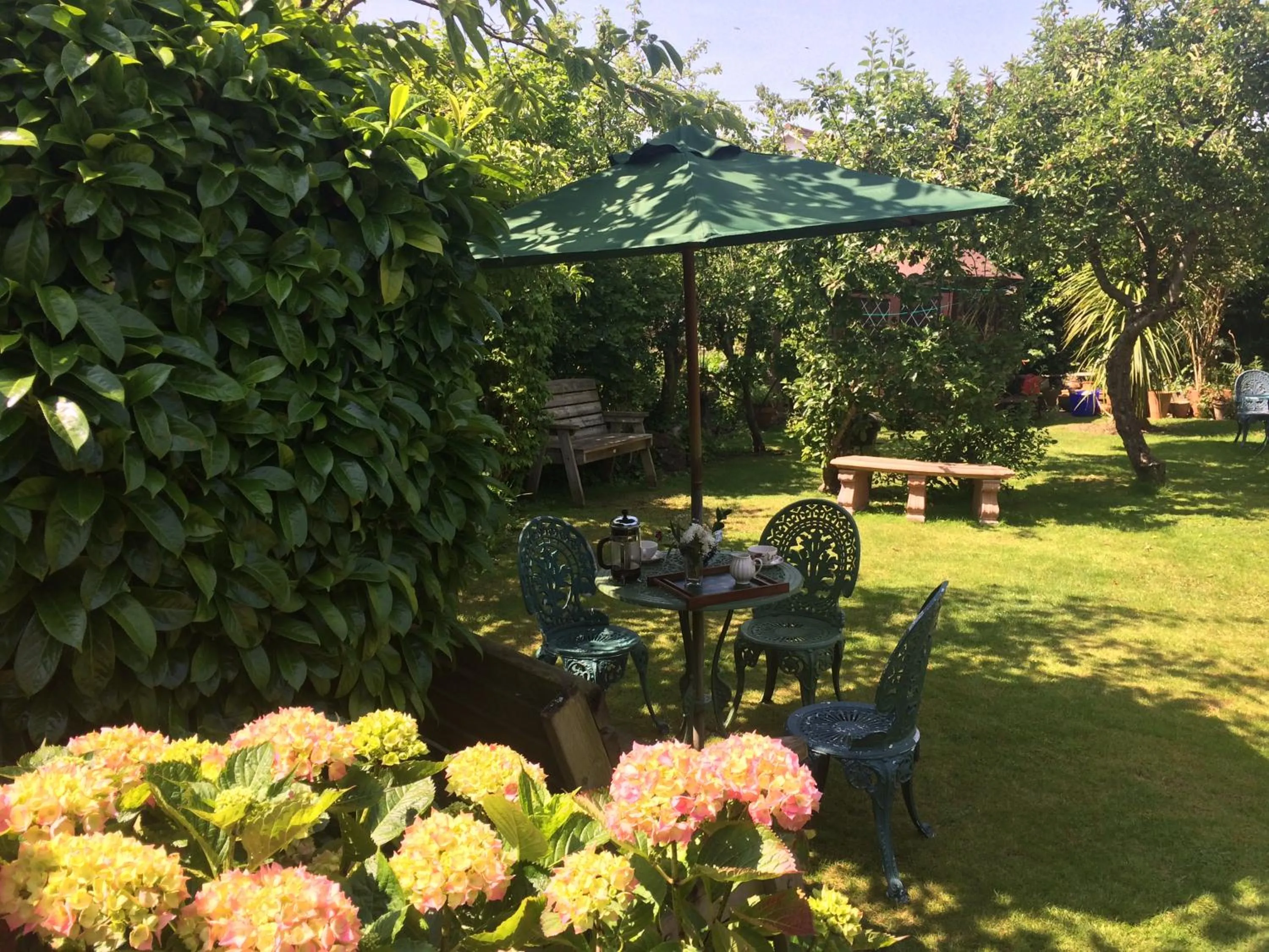 Garden view in The Old Forge