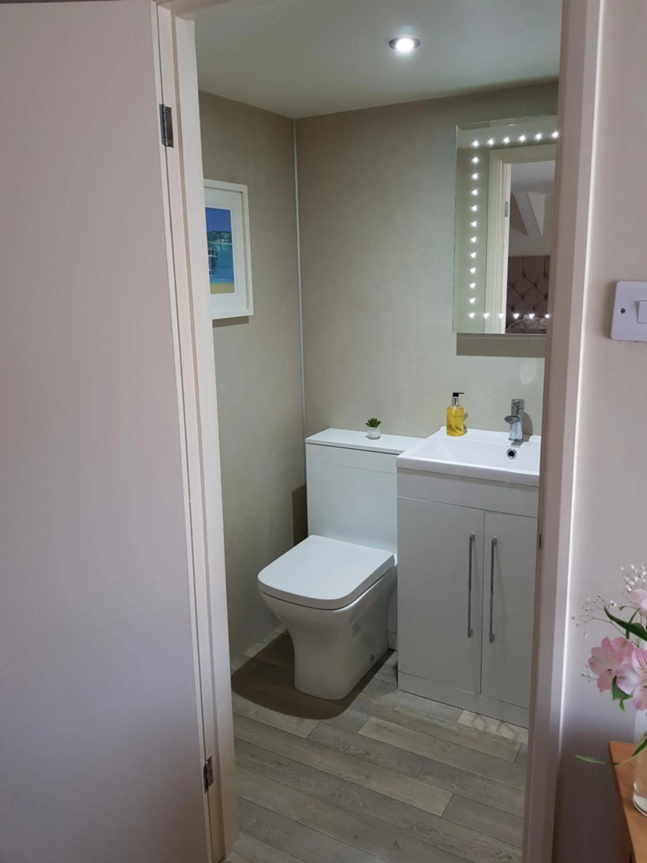 Toilet in The Old Forge