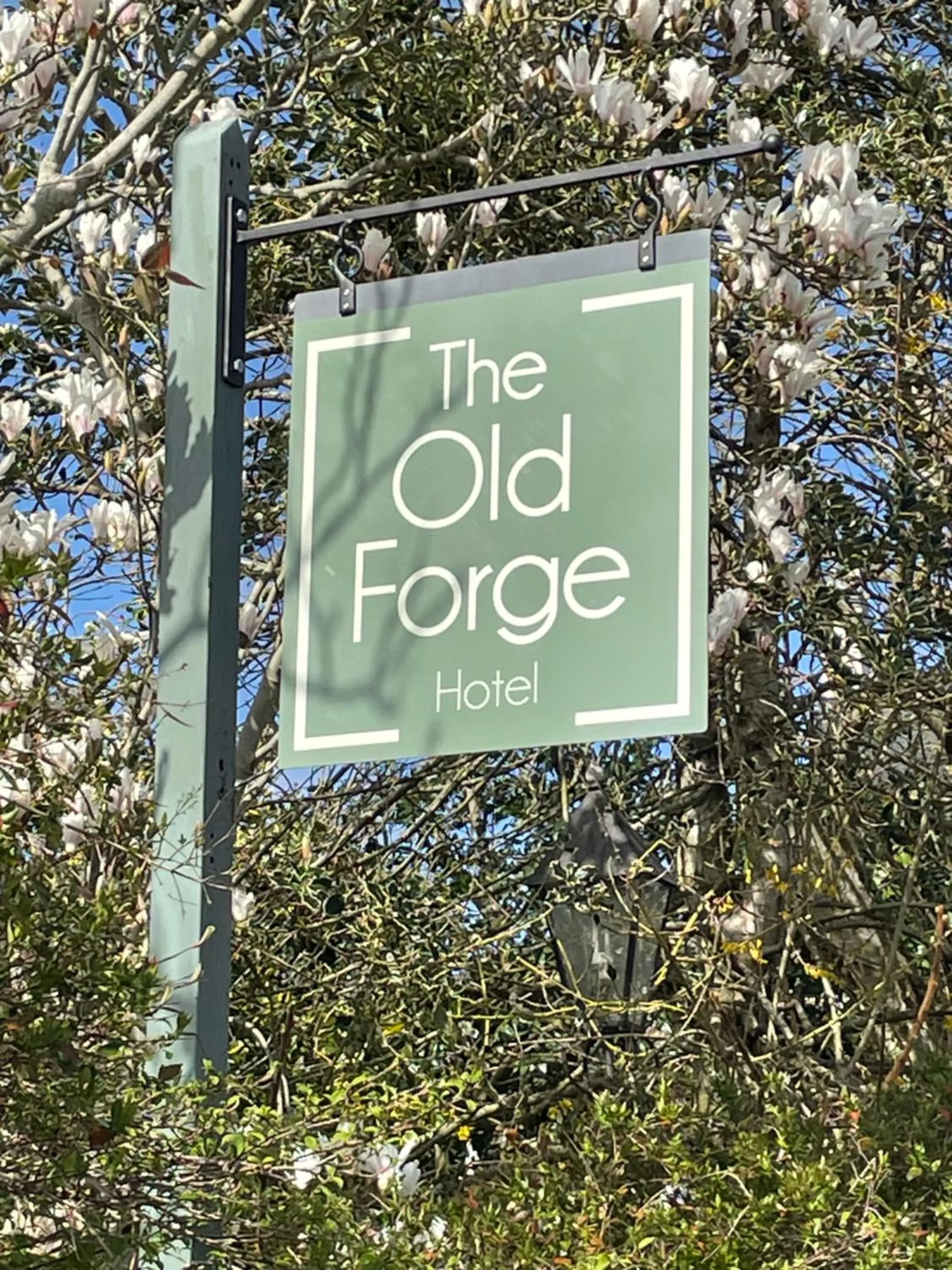 Property logo or sign in The Old Forge
