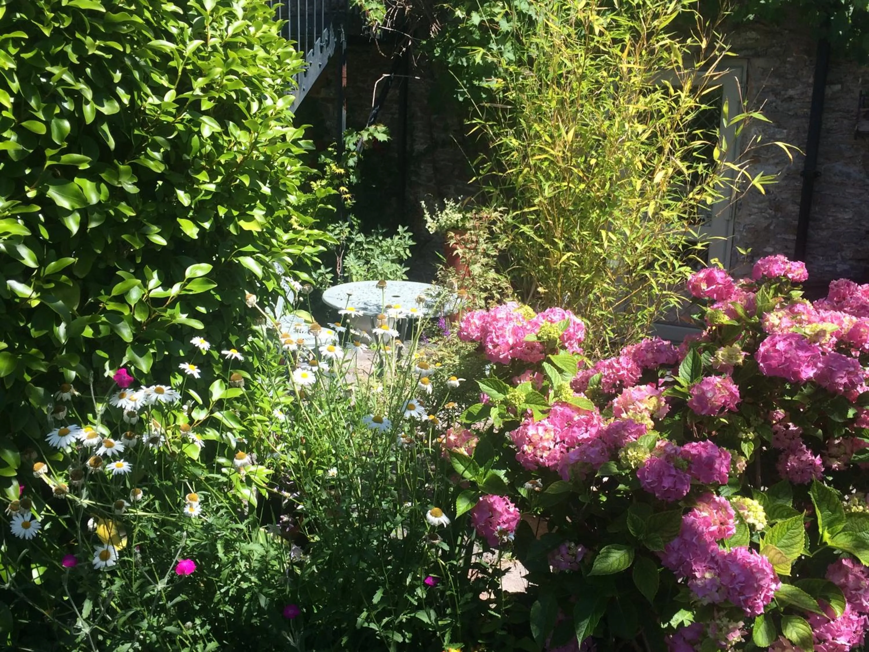 Garden in The Old Forge