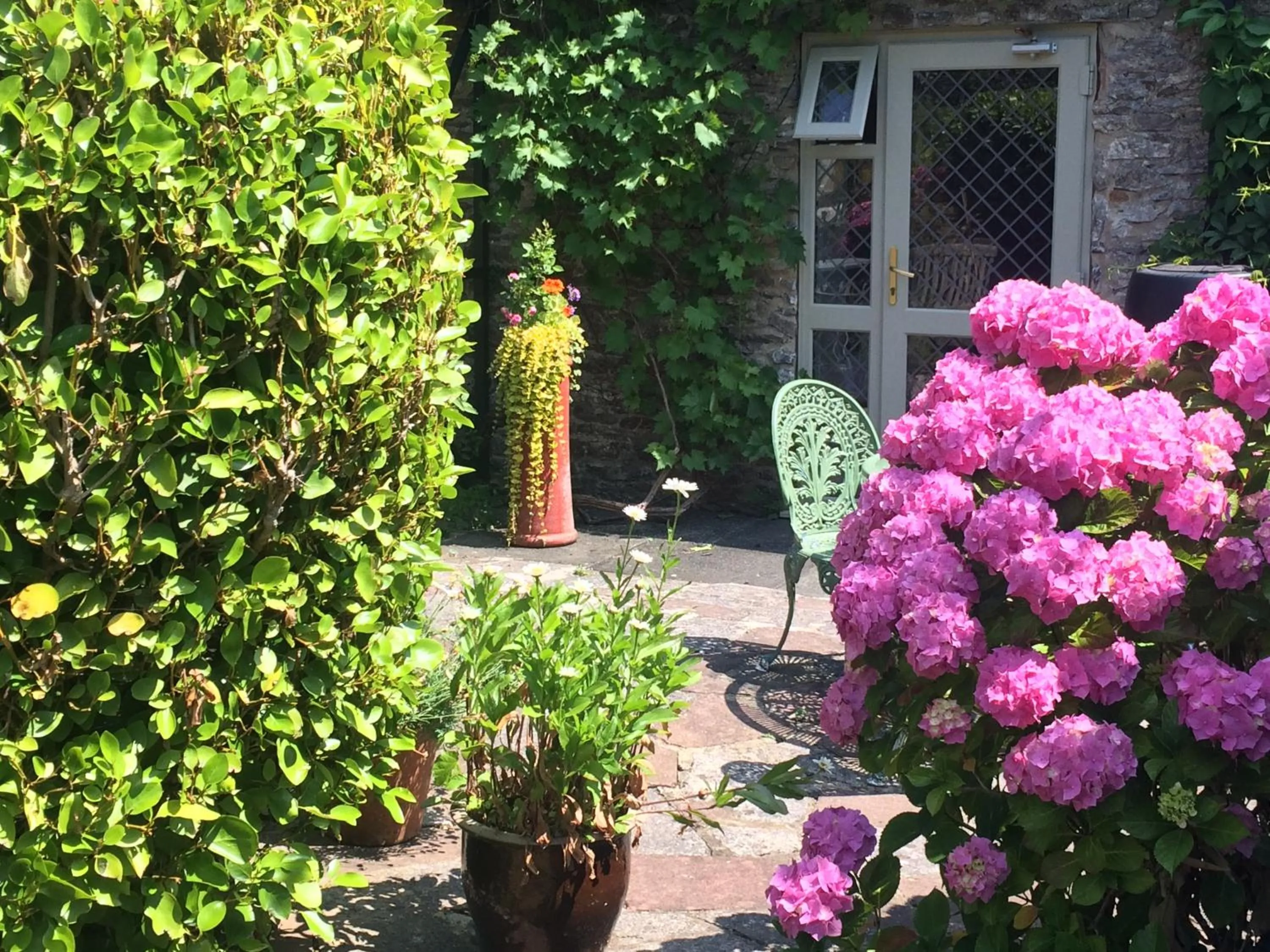 Garden in The Old Forge