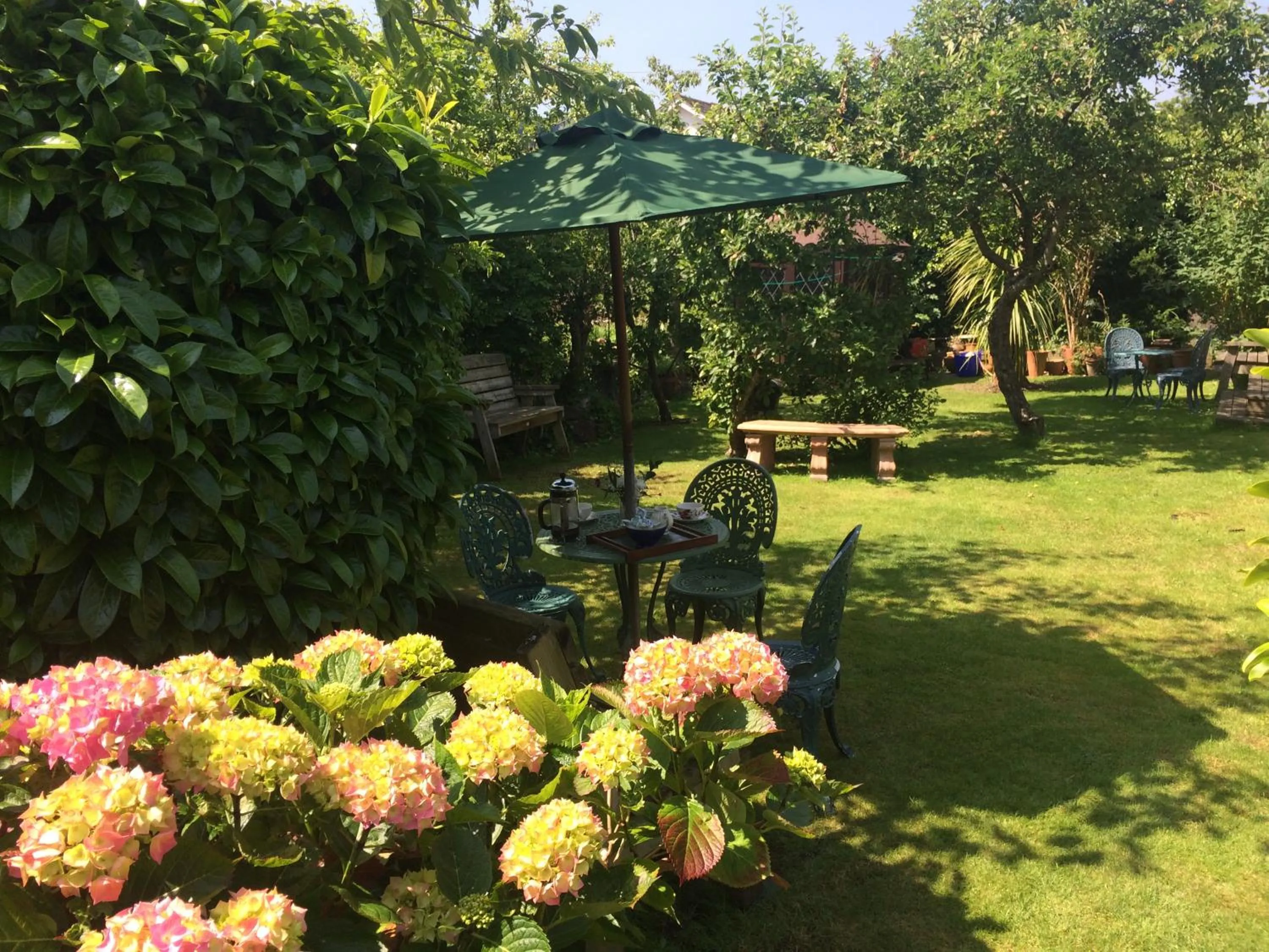 Garden in The Old Forge